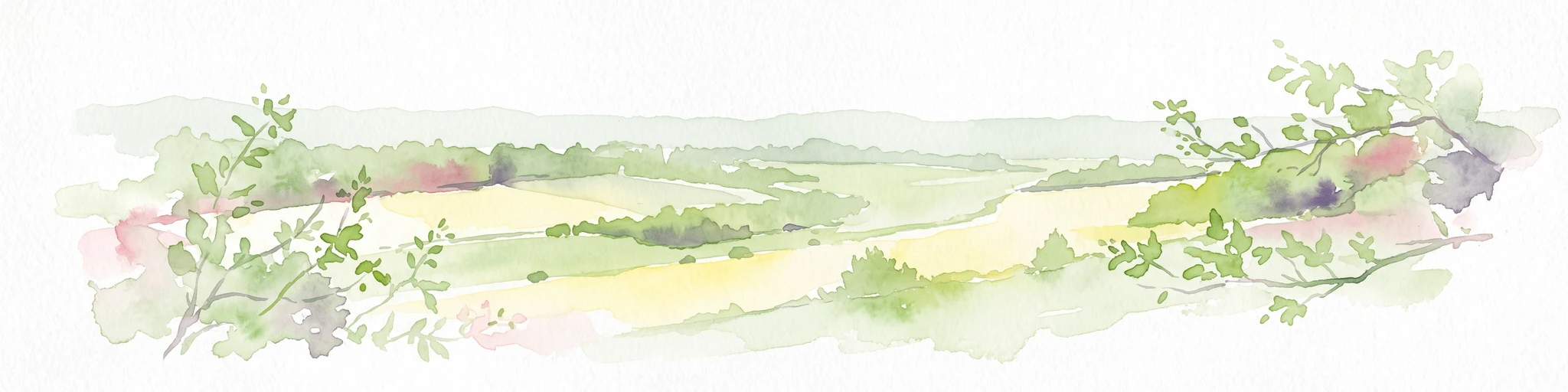 Una ilustración en acuarela de un paisaje rural con colinas verdes onduladas y árboles distantes, enmarcado por un follaje delicado en primer plano.