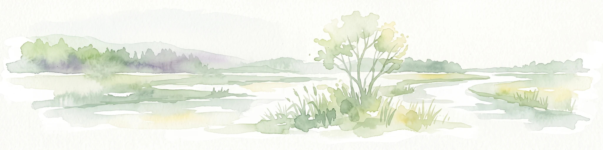 Una pintura en acuarela que muestra una vista panorámica suave de una marisma con un arroyo serpenteante, una pequeña isla de juncos y árboles distantes sobre un fondo pálido.