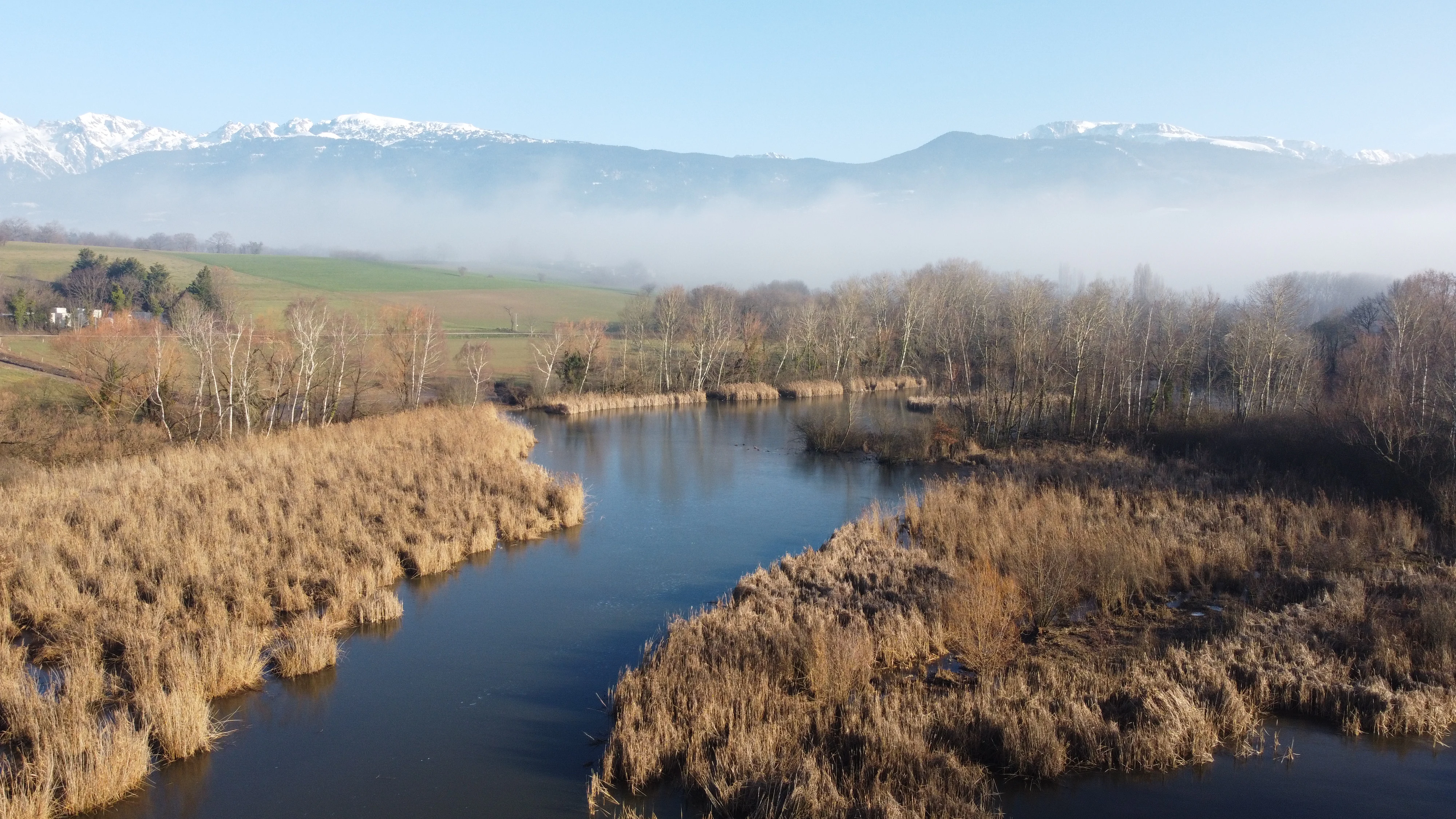 An aerial view of a calm pond surrounded by dense brown reed beds, with low-lying mist and snow-covered mountains visible in the distance under a clear sky.