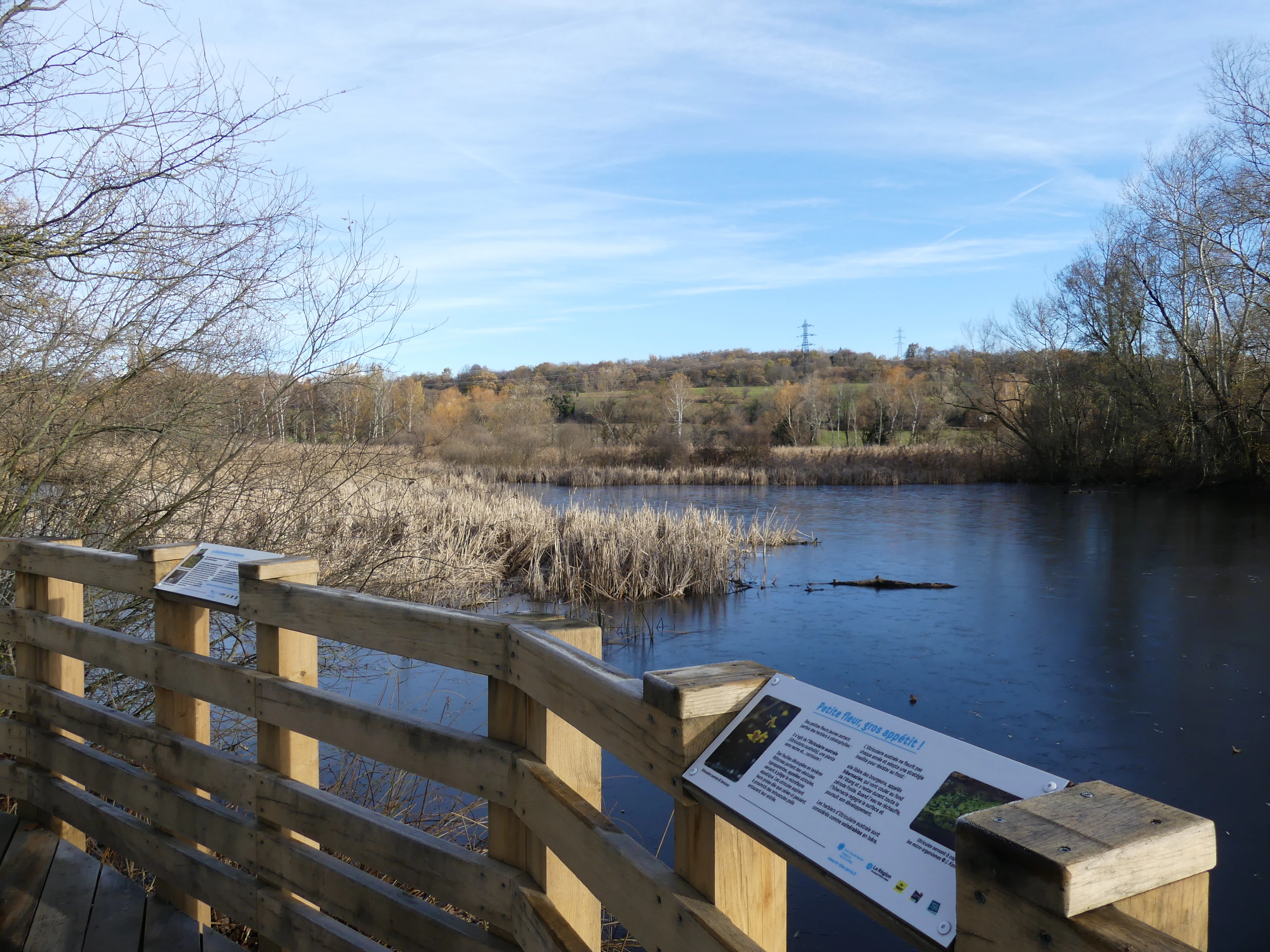 A wooden observation deck with educational interpretive signage looking out over a calm pond surrounded by wetlands and trees on a sunny day.