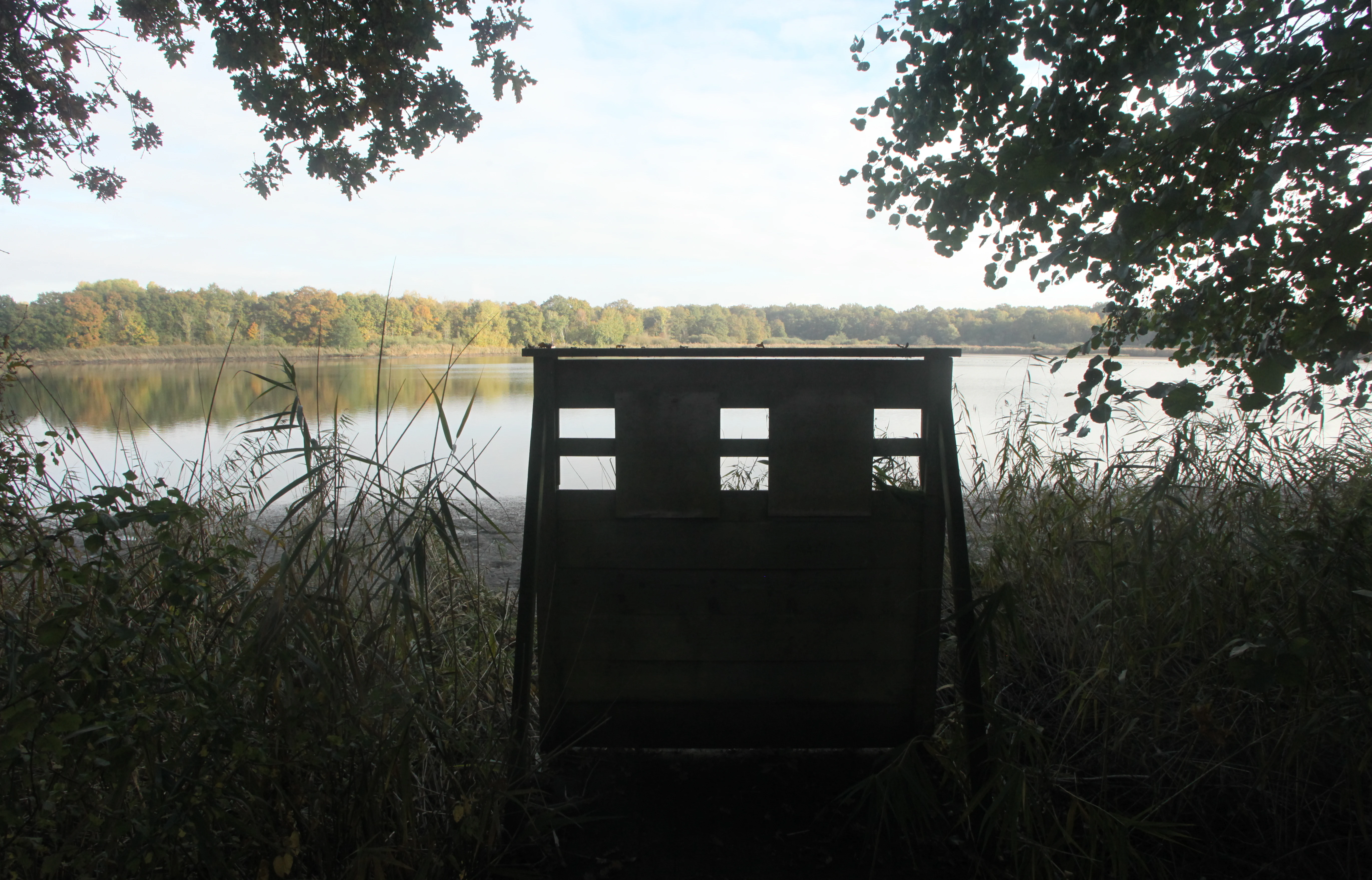 Un observatorio de fauna de madera enmarcado por árboles, con vistas a un estanque tranquilo en la reserva natural de Ramerupt.