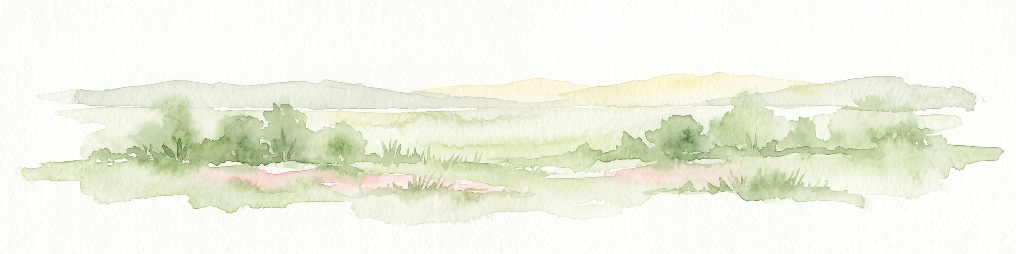 A horizontal watercolor illustration featuring a soft green and yellow landscape of a pond and wetland area with shrubs and meadow grass.