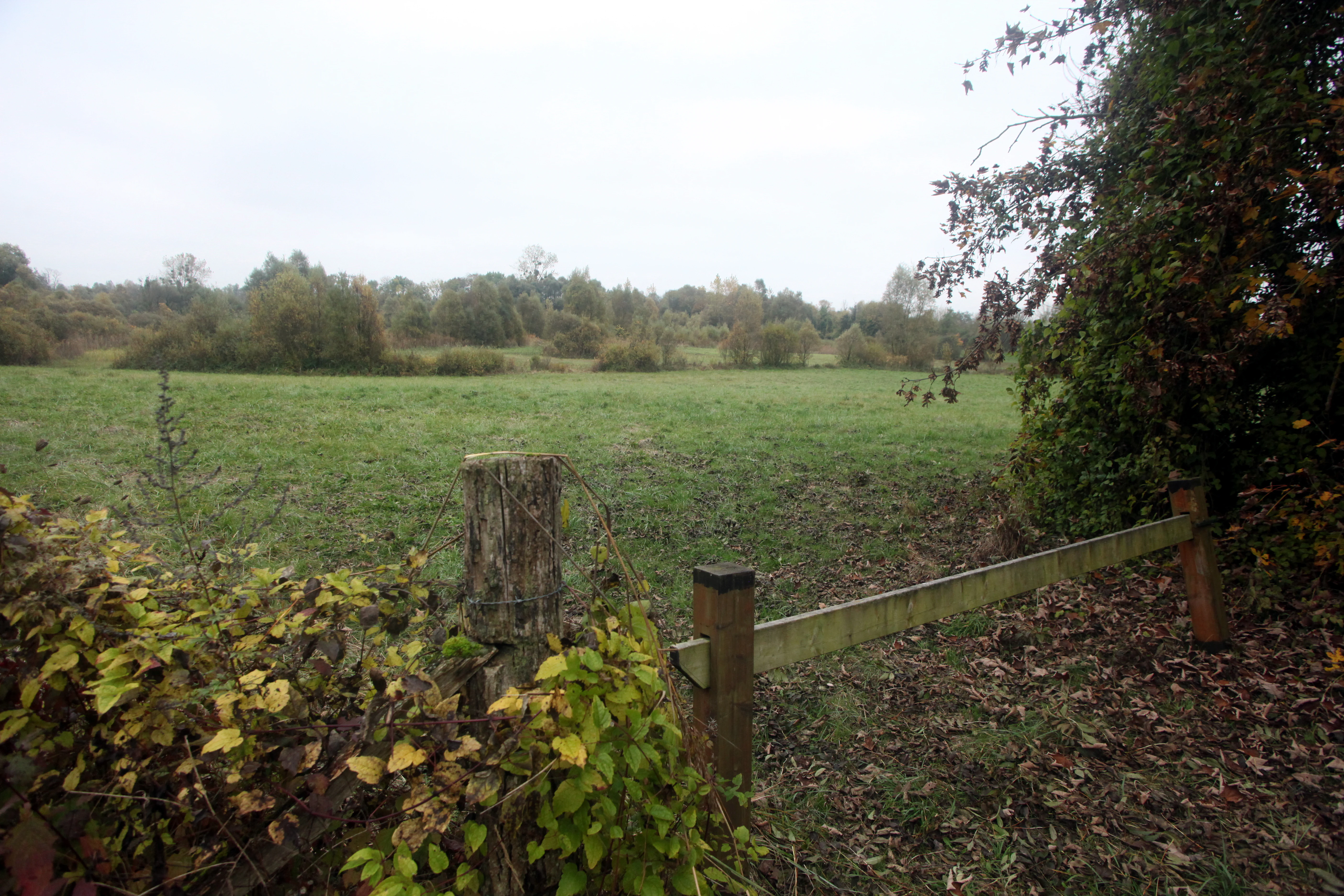 A wide view of a green, grassy field surrounded by trees and shrubs, with a simple wooden post and rail fence in the foreground under an overcast sky.