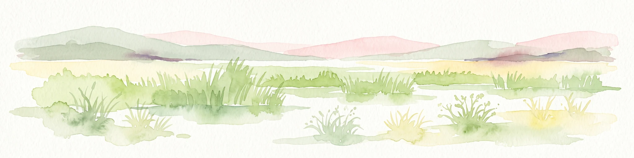 Una pintura horizontal en acuarela que representa un paisaje de enfoque suave con humedales cubiertos de hierba en primer plano y colinas suaves y onduladas al fondo.