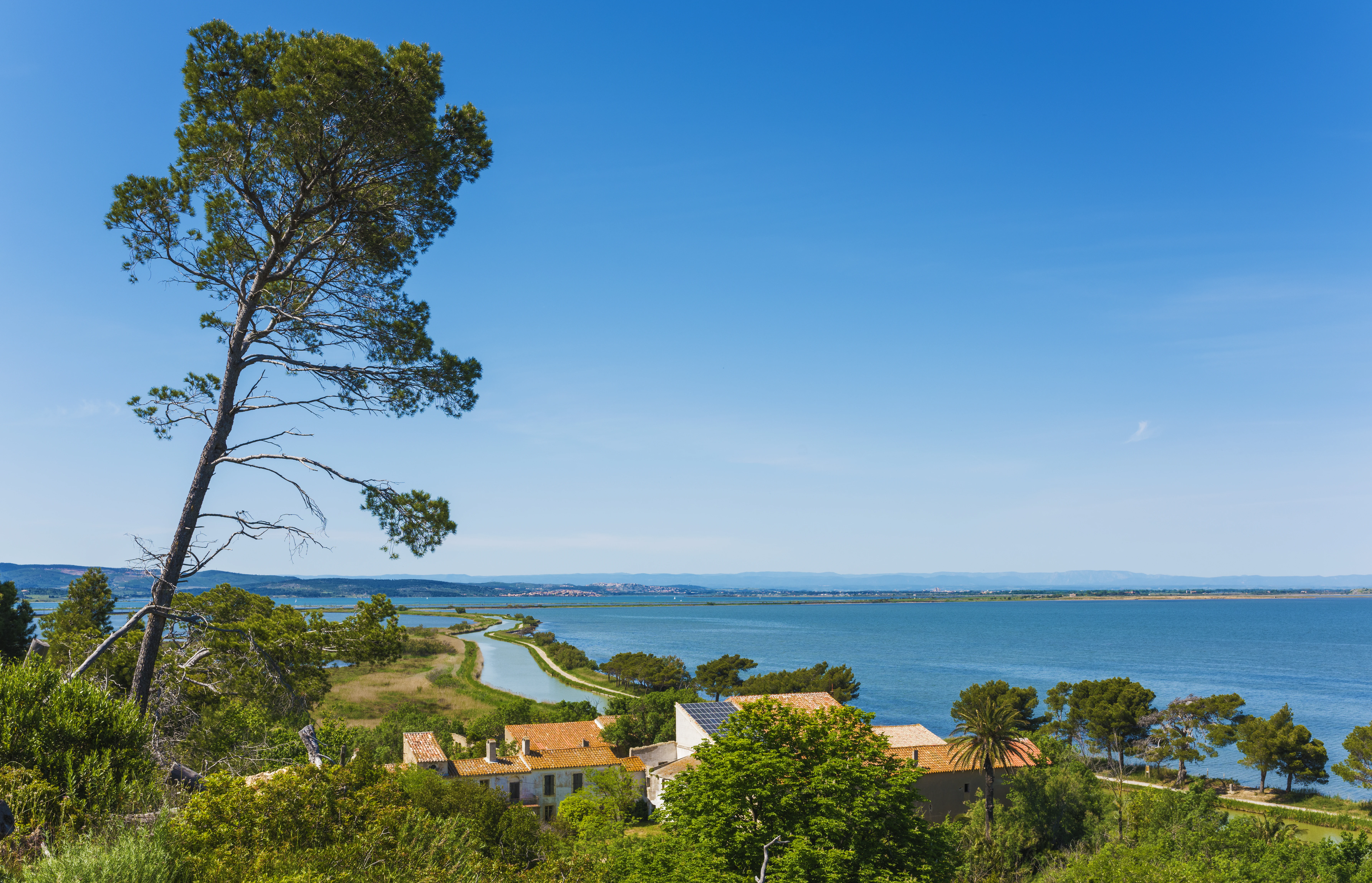 A wide landscape view of a coastal lagoon and canal next to a cluster of small Mediterranean-style buildings, with a tall pine tree in the foreground.