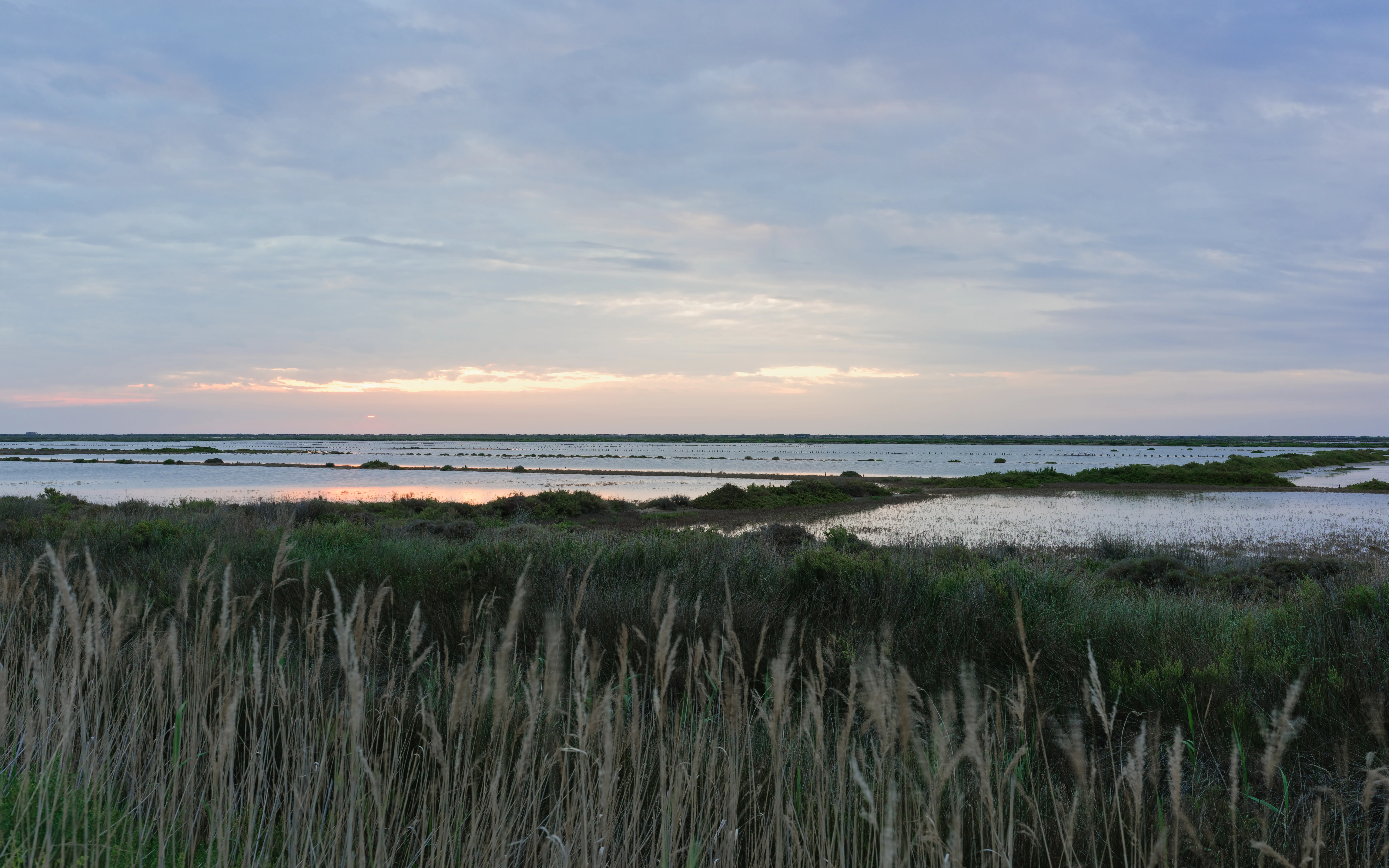 A wide view of calm, shallow pools of water in former salt marshes, with grasses in the foreground and a pale, cloudy sky at sunset in the background.