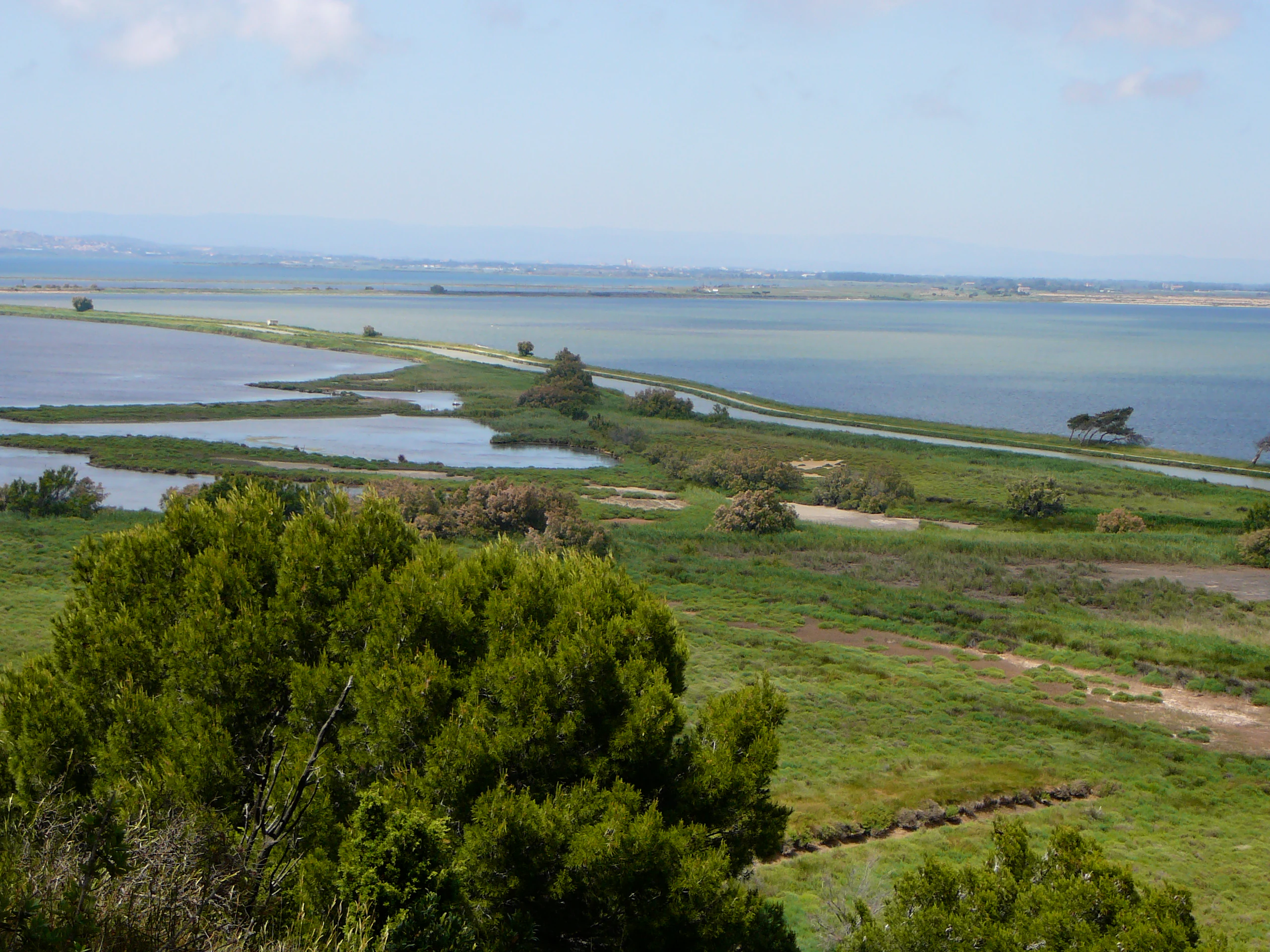 An elevated, wide-angle view of a coastal wetland landscape, featuring a large, still lagoon bordered by green reeds, grasses, and low-lying vegetation under a clear sky.