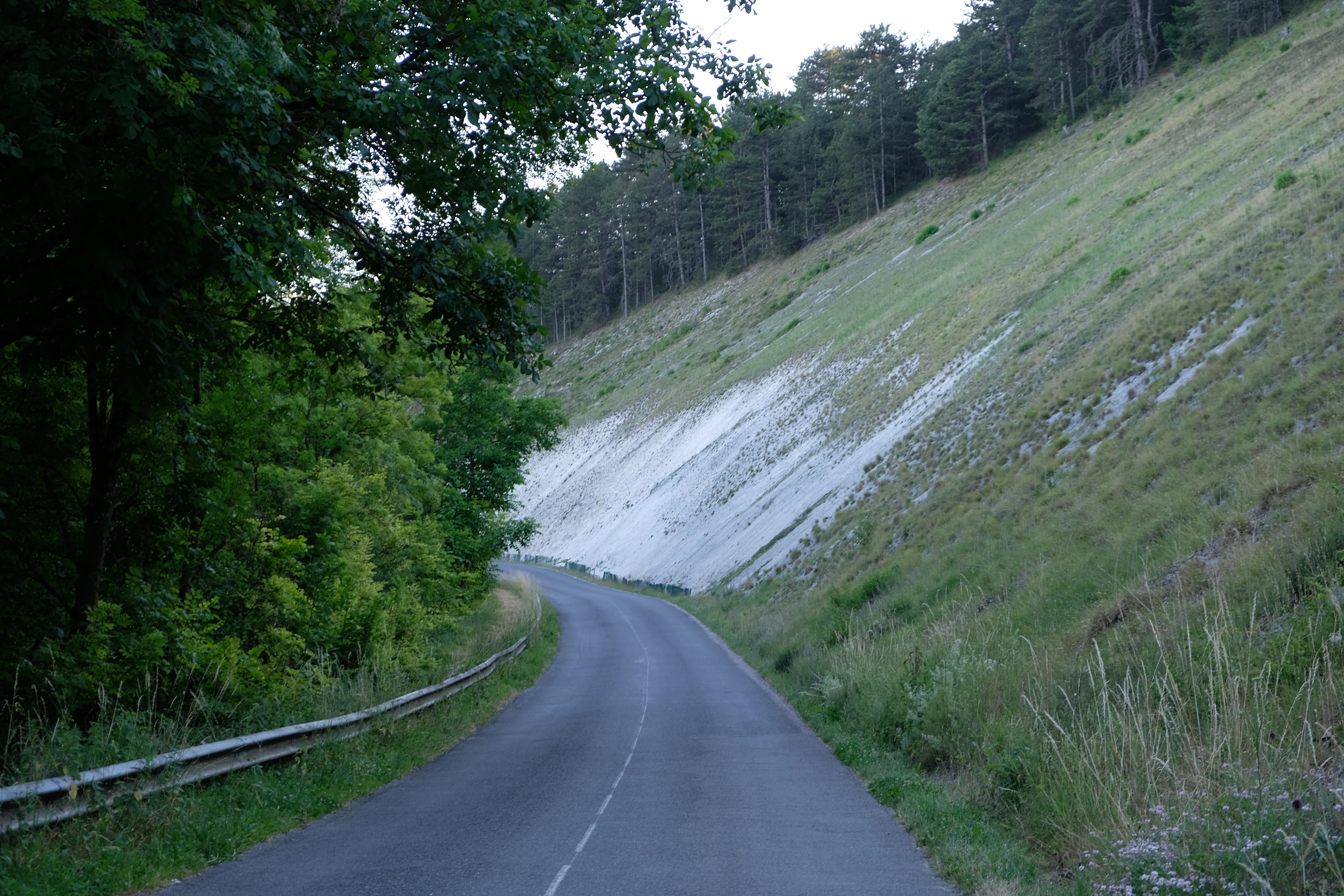 A paved road curving along the base of a steep, grassy limestone scree slope in a rural area, with forest lining the opposite side.
