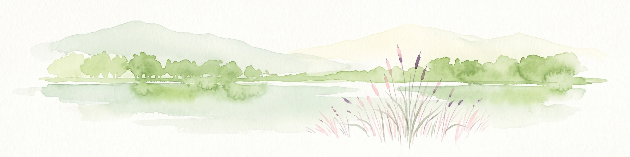 A soft watercolor illustration featuring a calm pond in the foreground, with reeds on the right and a distant treeline and rolling hills in the background.