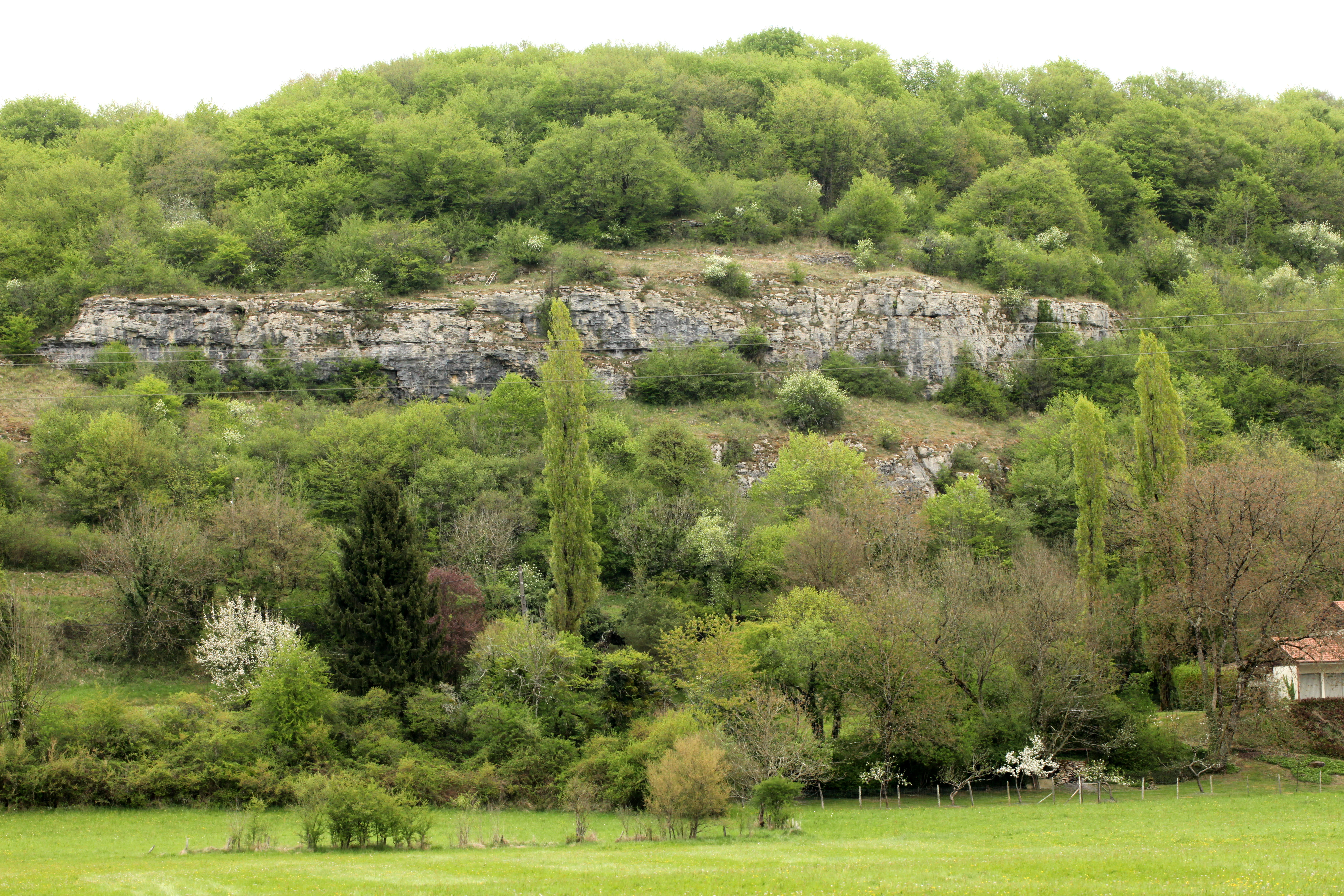 A wide view of a limestone cliff face rising above a lush, green hillside and valley floor covered in dense foliage.