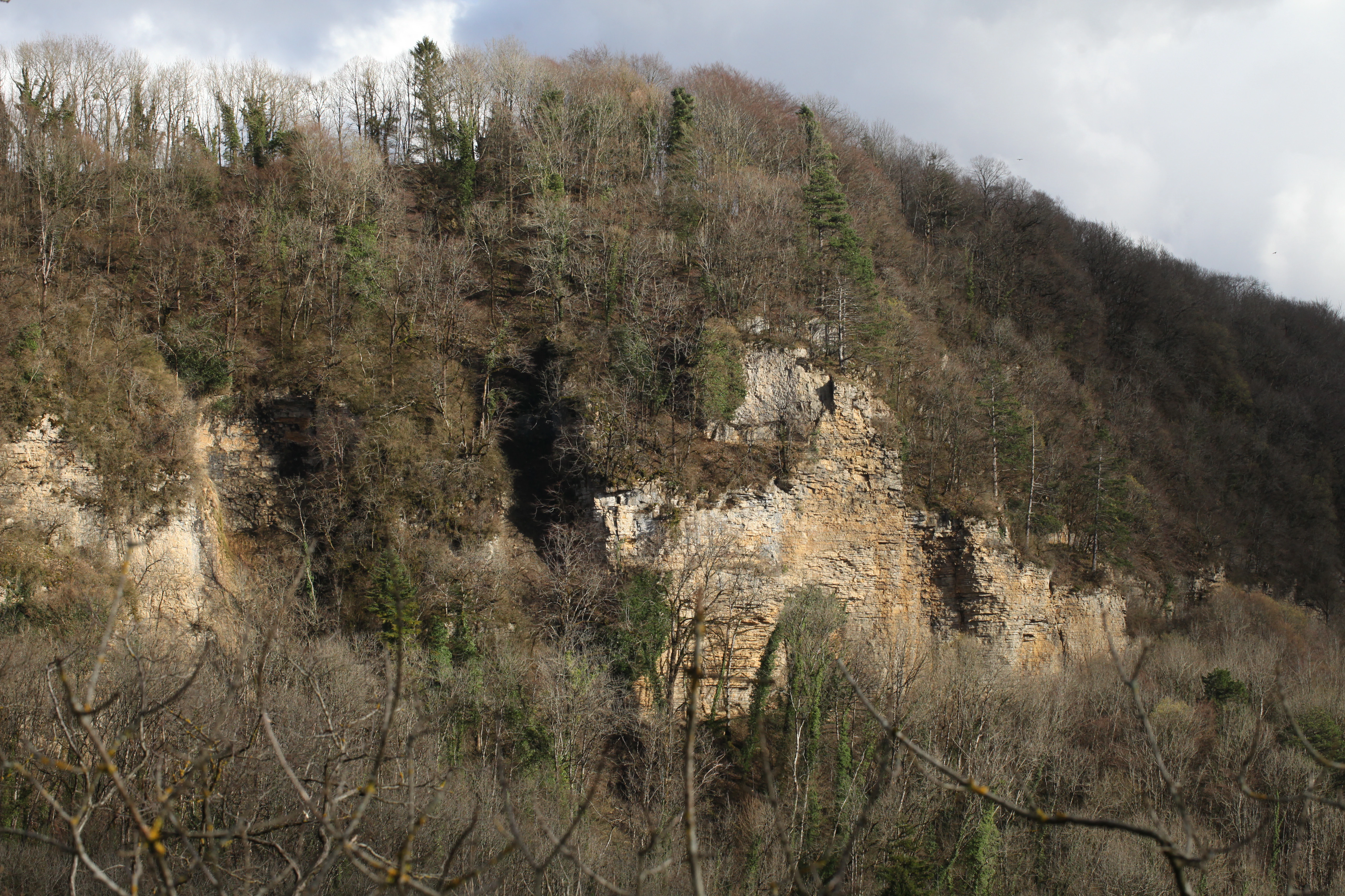 A limestone cliff face rising above a dense, leafless forest during winter or early spring.