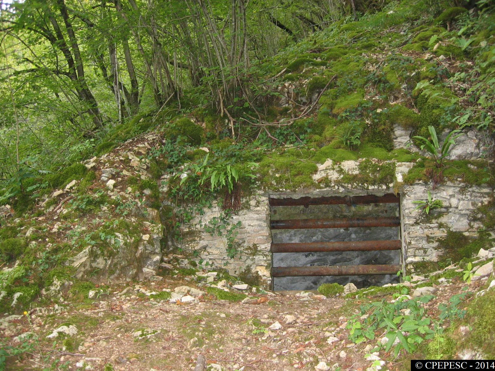 A gated cave entrance set into a mossy, forested hillside with stone masonry around the opening.