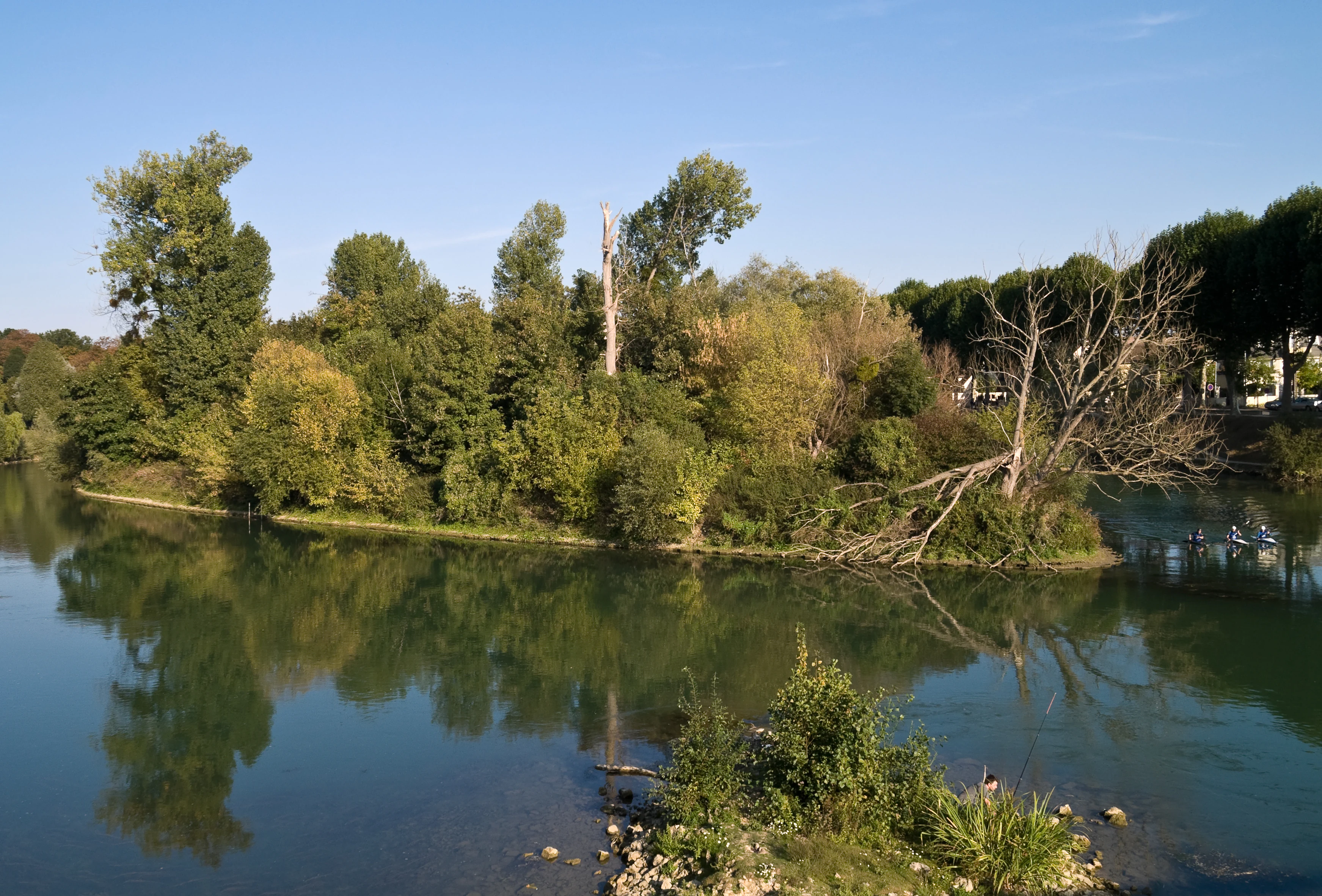 A peaceful river scene featuring a lush island with dense trees and a fallen branch extending into the water, reflecting the sky and vegetation.