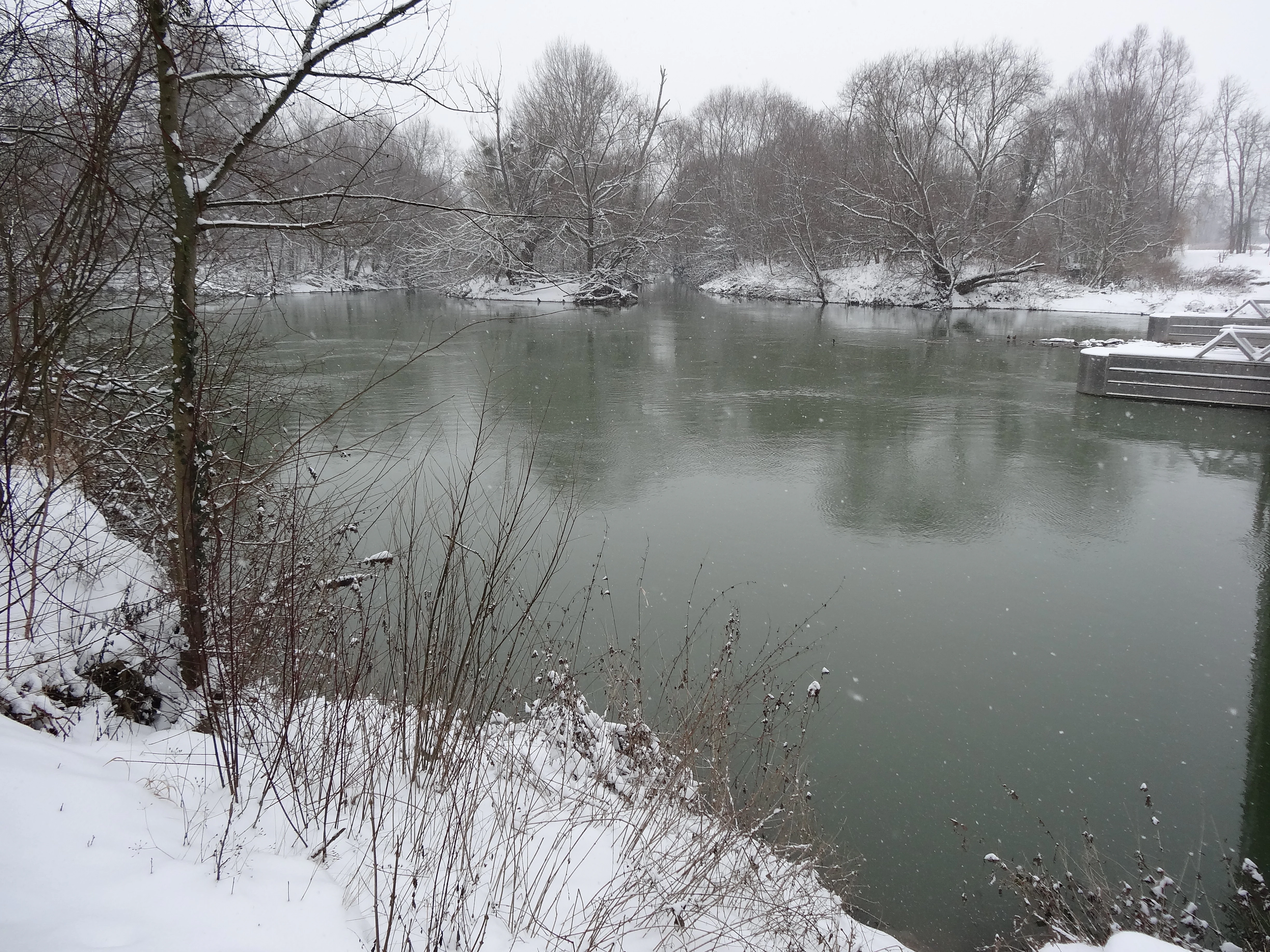 A snowy riverbank view of islands in the Marne River, with bare trees covered in light snow and a calm, grey river surface.
