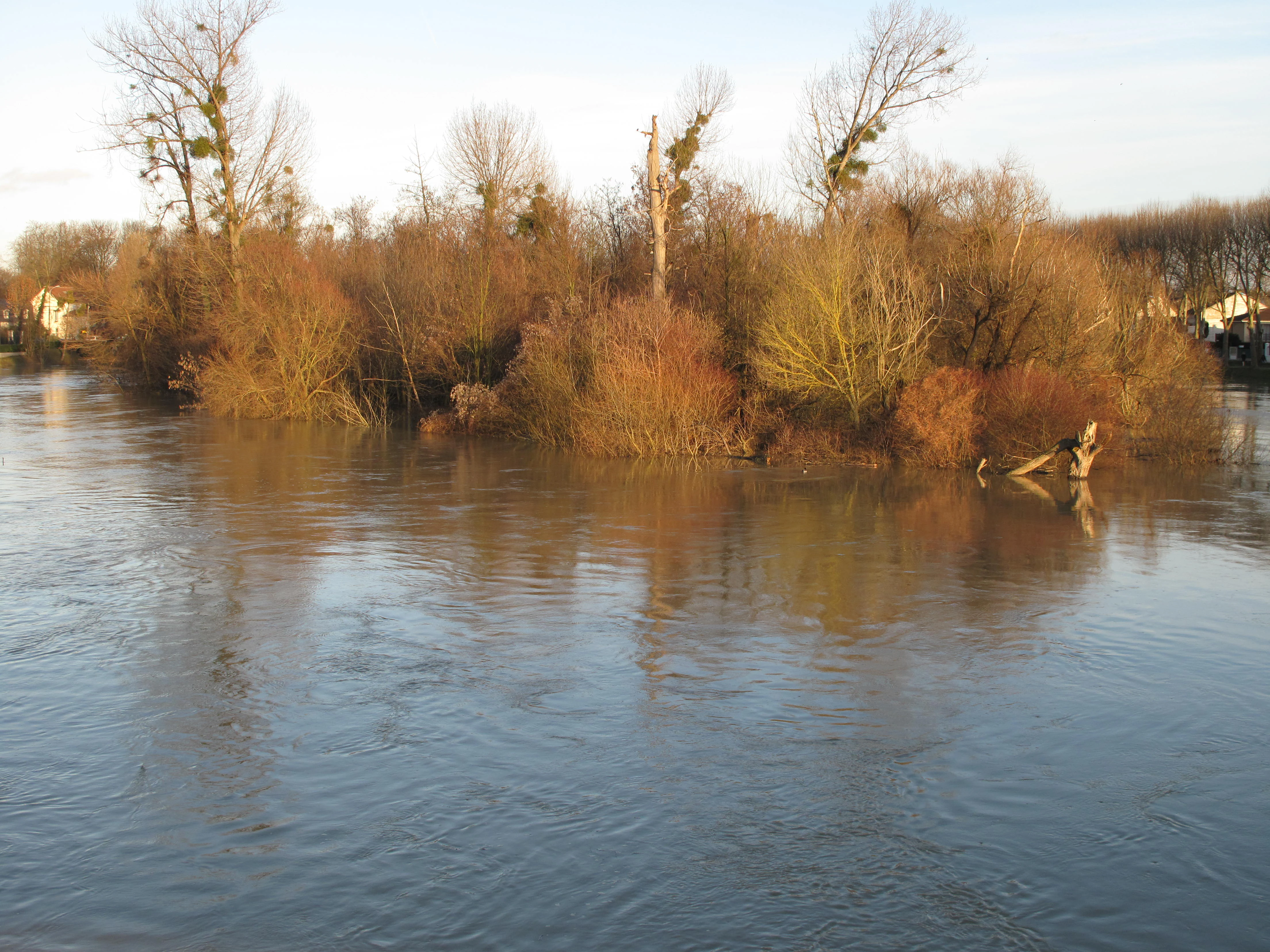 A view of a small island covered in dormant winter vegetation surrounded by the flowing waters of the Marne River.