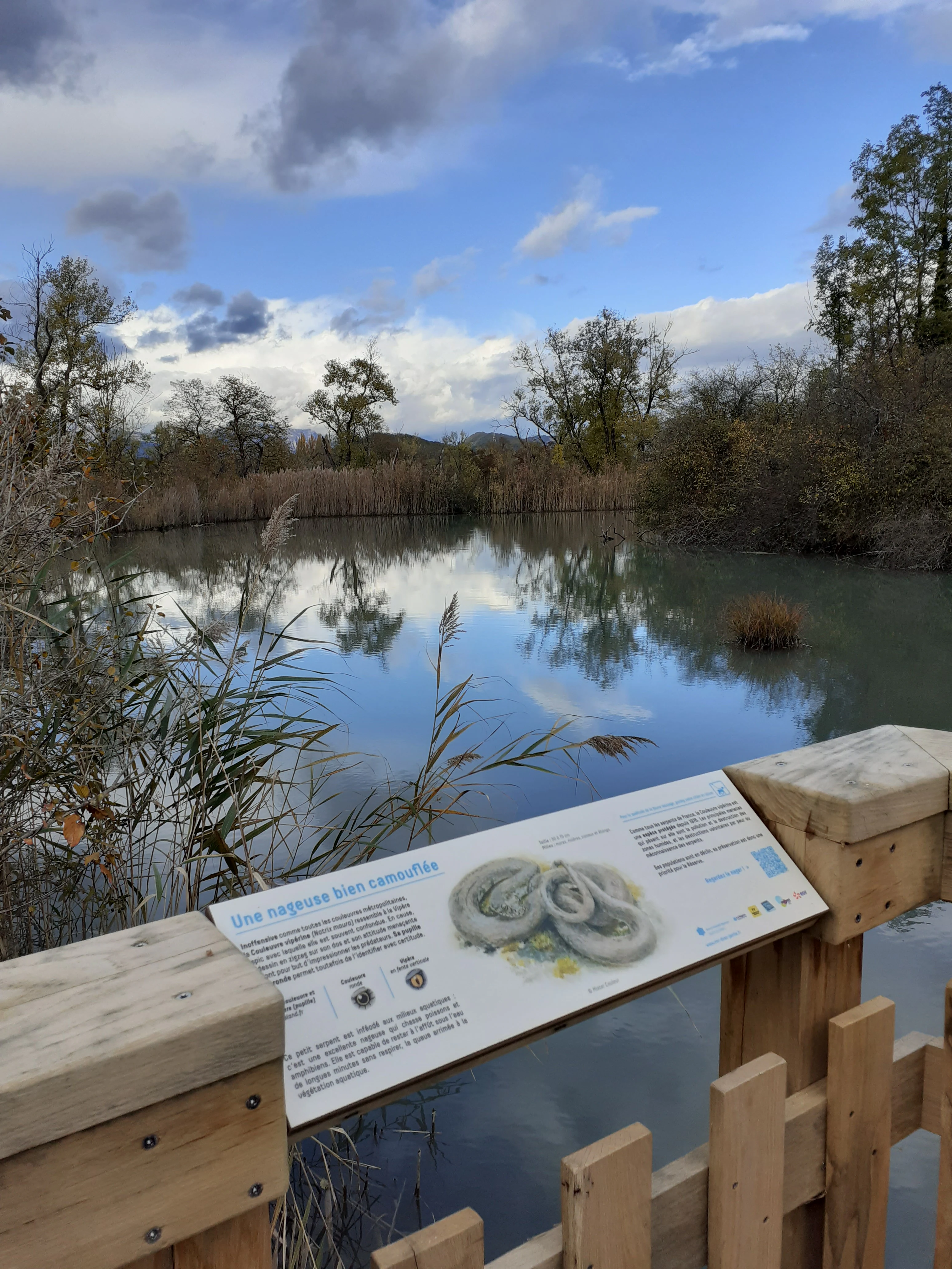 A wooden interpretive sign mounted on a railing overlooking a calm, reflective pond in a nature reserve.