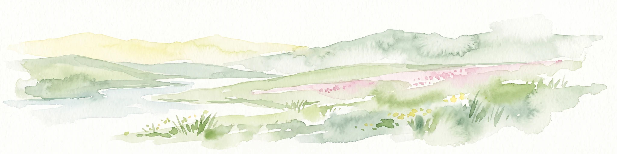 A watercolor painting showing a soft, stylized landscape of green hills, marshy fields, and patches of pink wildflowers or heathland against a white background.