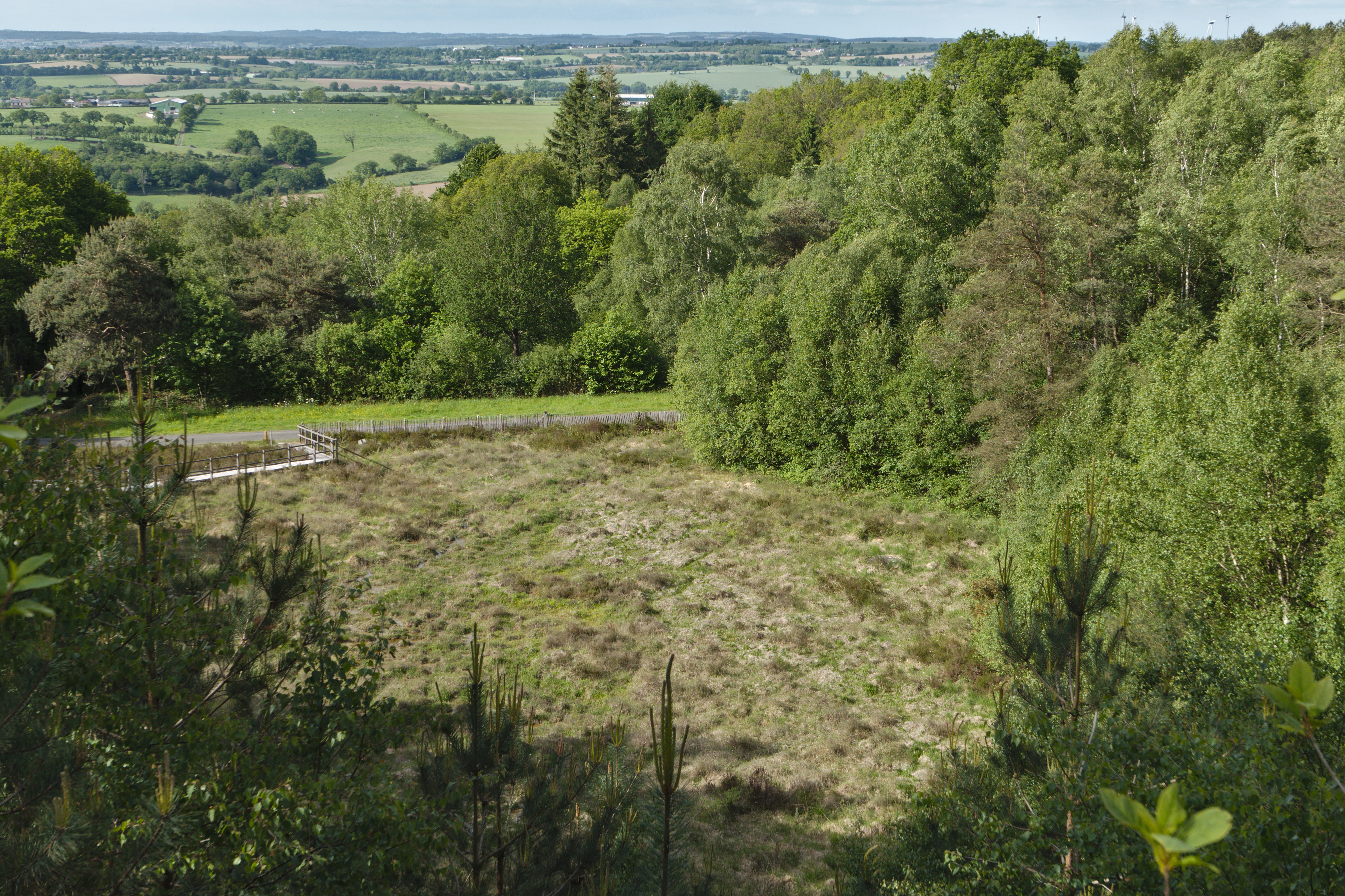 A high-angle view of a nature reserve featuring a clearing of low vegetation and marshy ground bordered by a dense forest, with a small trail and a distant view of rolling countryside.