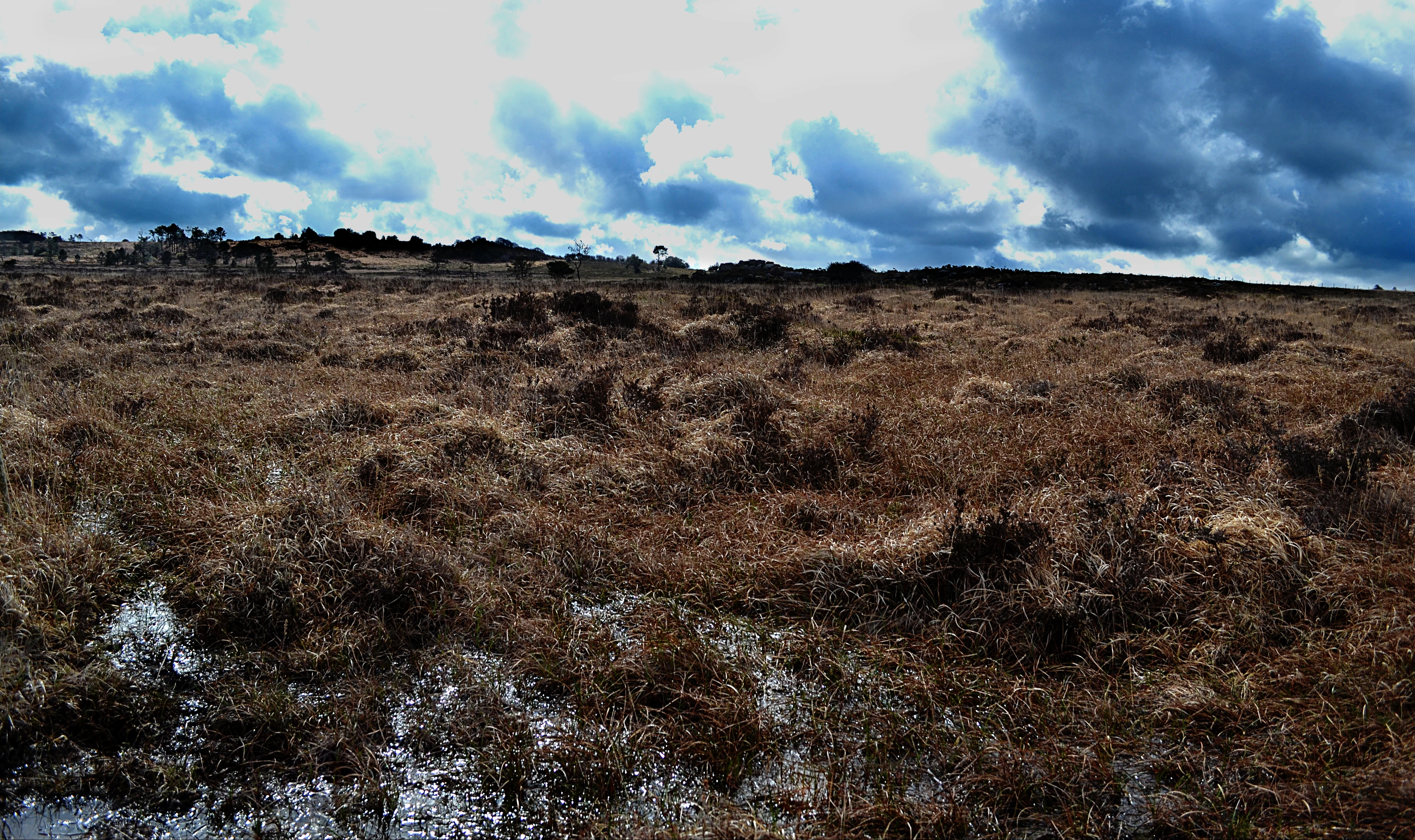 A wide, low-angle shot of a flat, marshy landscape with brown, withered vegetation and patches of standing water under a cloudy, dramatic sky.