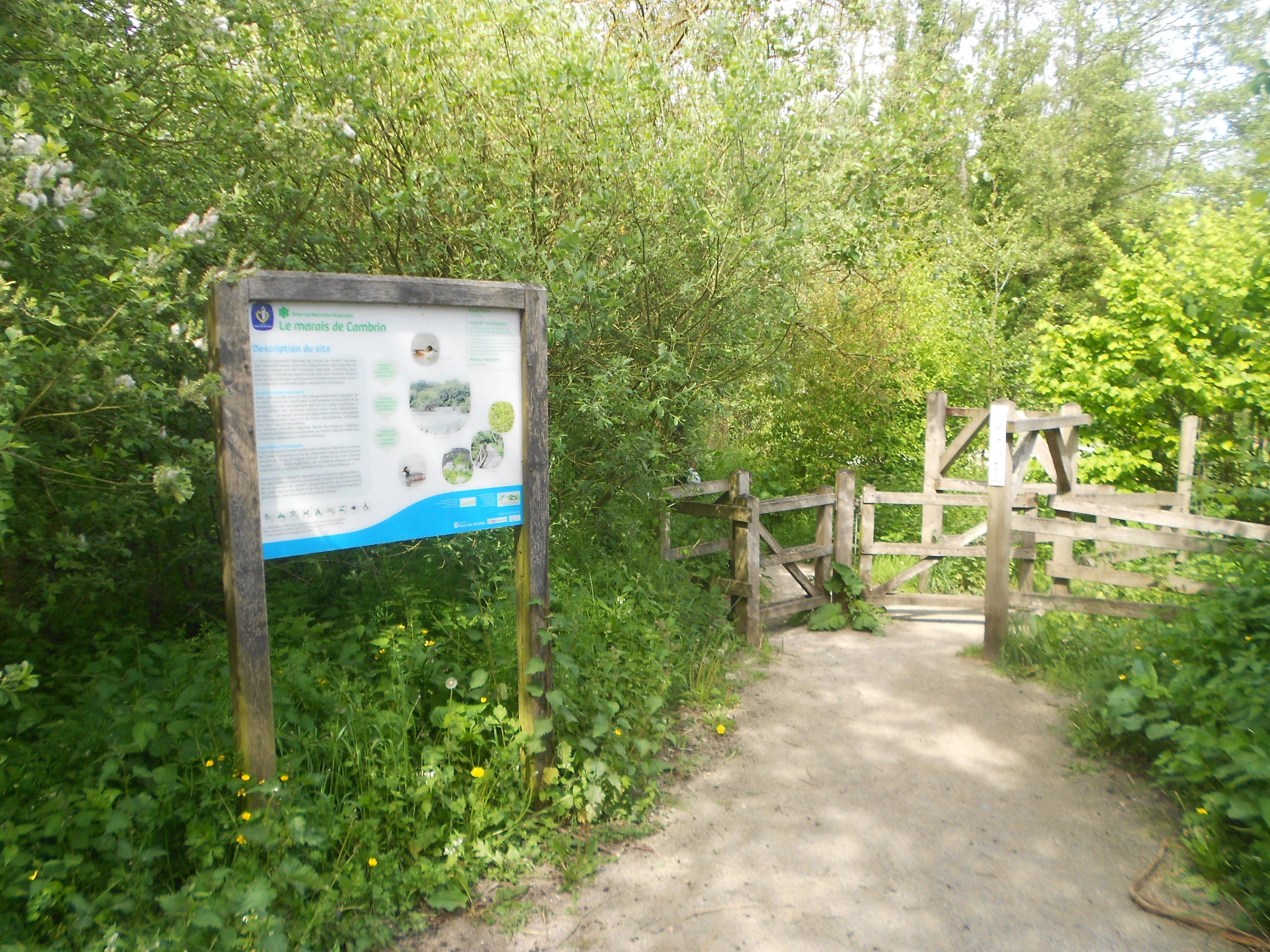 A wooden information sign stands on the left side of a dirt trail, with a wooden gate structure visible in the background leading into a lush, green forest.