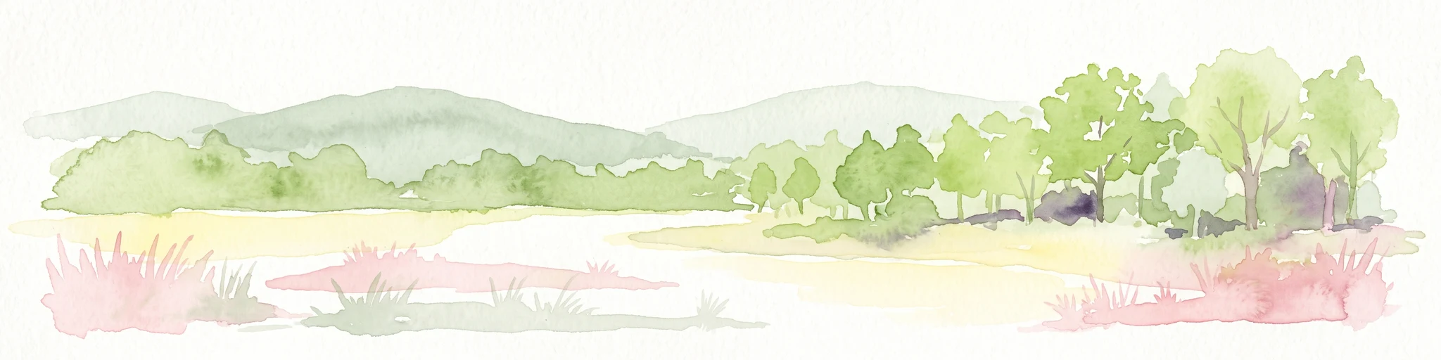 Watercolor painting of a marshy wetland landscape featuring rolling hills, green trees, and foreground grasses against a white background.