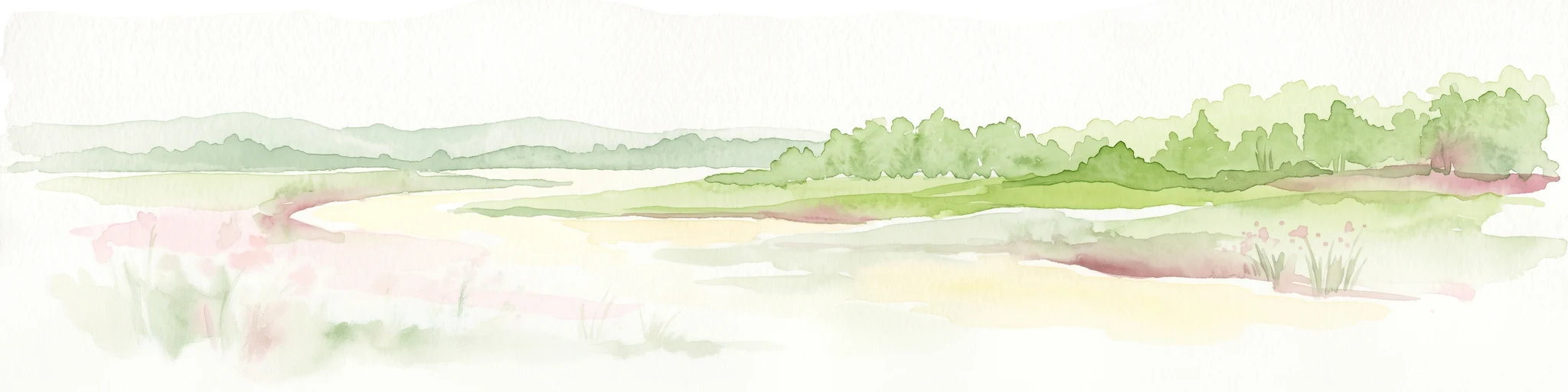 A watercolor illustration showing a winding river flowing through a green marshland with soft tones and minimalist trees in the background.