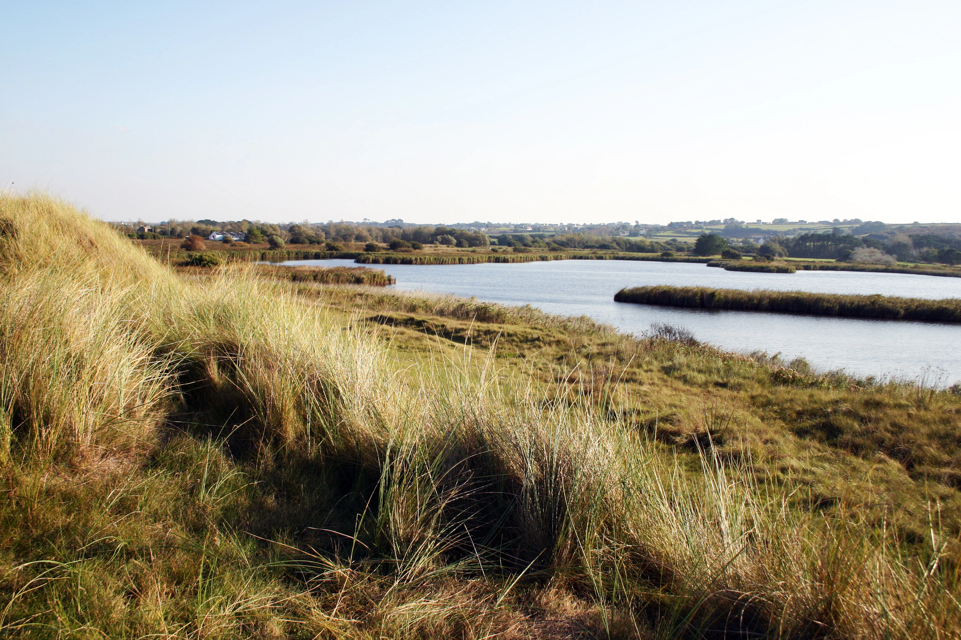 A landscape view of a coastal pond with grassy dunes in the foreground and a calm body of water stretching toward a distant shoreline.