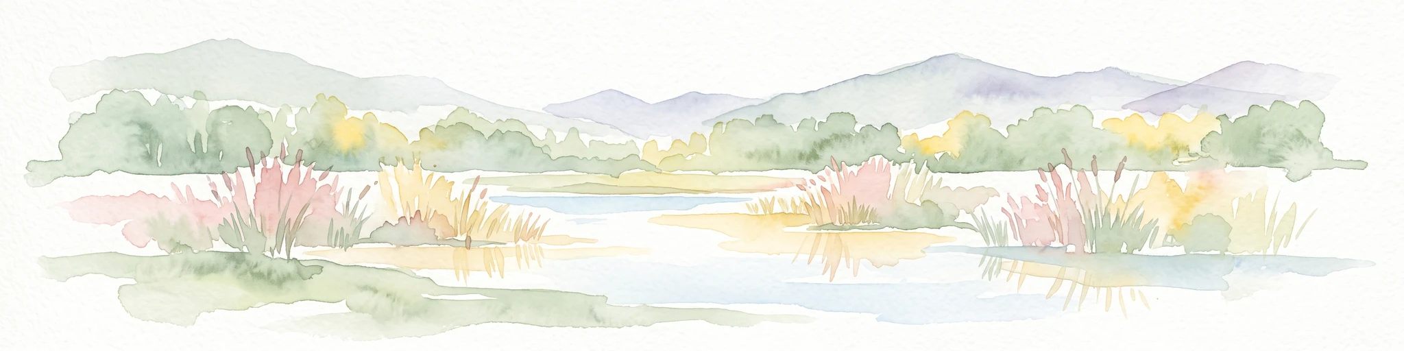 Una pintura de acuarela panorámica que representa un humedal o pantano tranquilo con juncos rosas y amarillos en primer plano, árboles verdes en el plano medio y montañas de tonos púrpuras suaves al fondo.