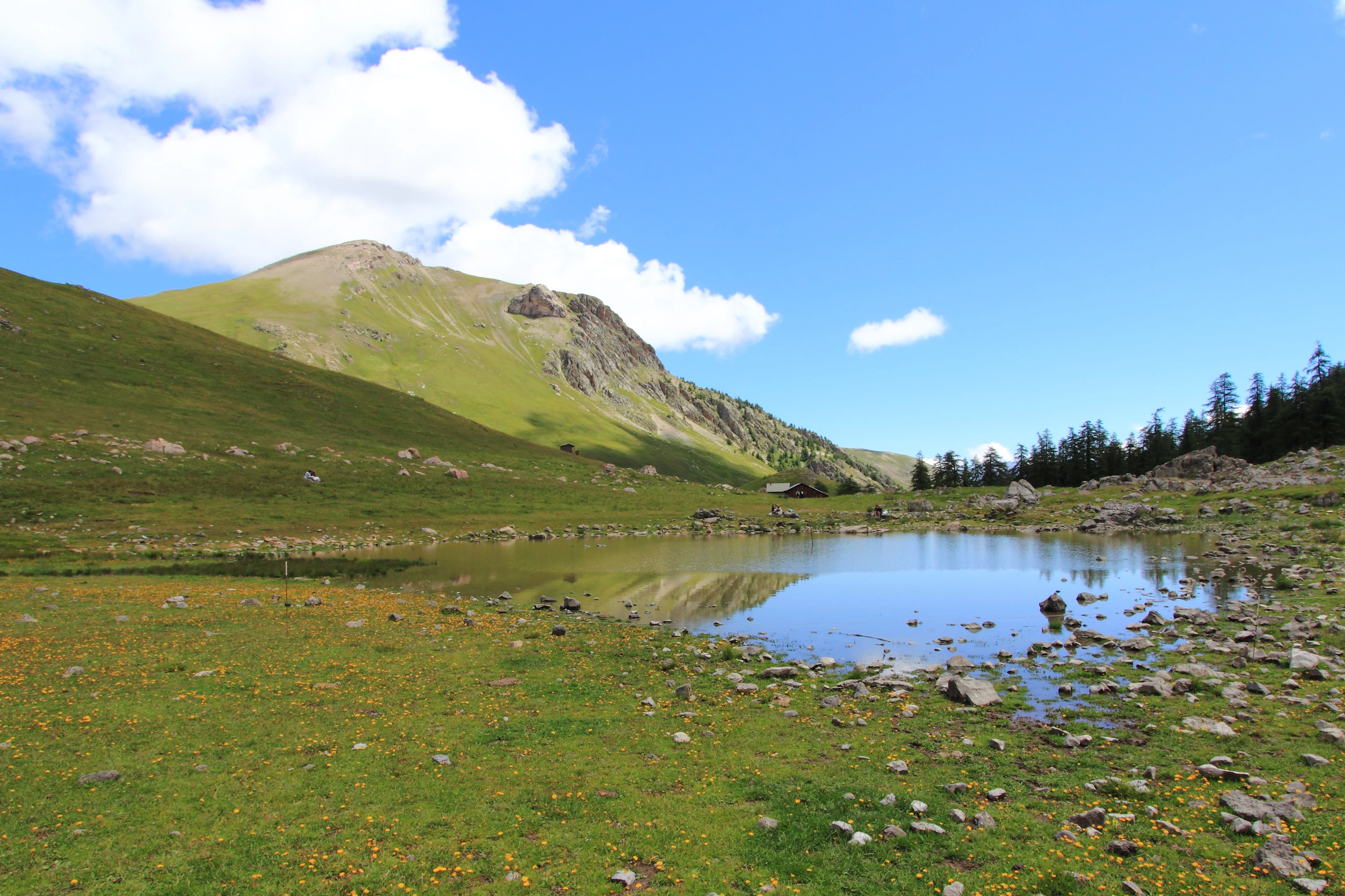 Un pequeño lago de montaña refleja el cielo azul despejado y las nubes esponjosas en una pradera alpina cubierta de hierba, con una gran montaña verde elevándose al fondo.