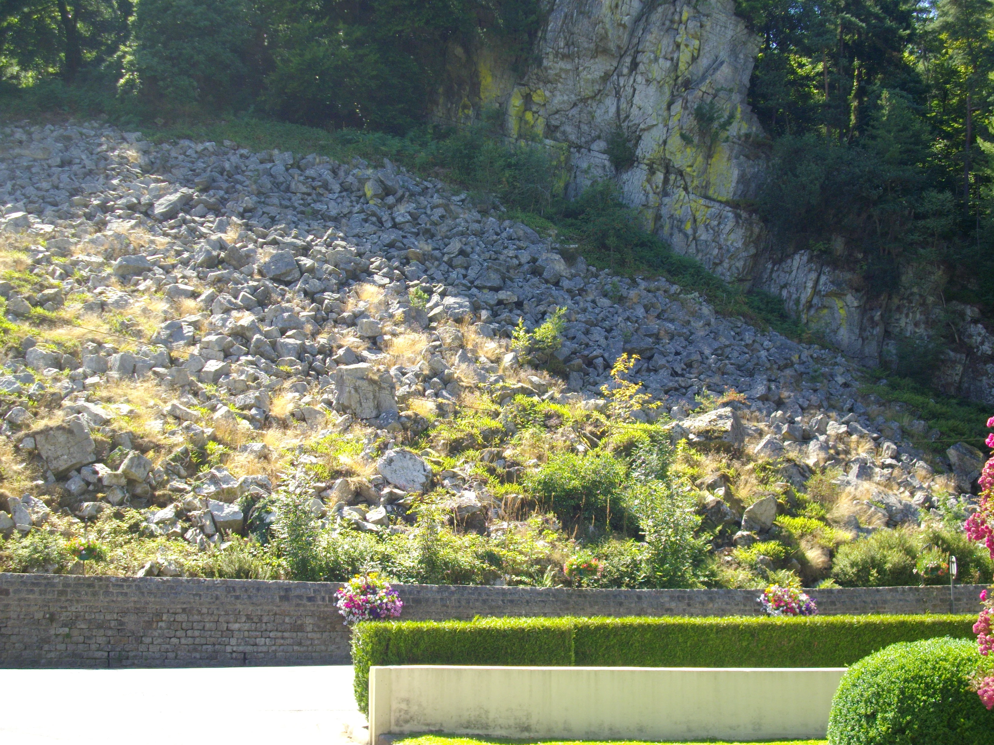 A steep, rocky scree slope sits beneath a large, craggy cliff face in a woodland setting, with a manicured hedge and flower pots in the foreground.