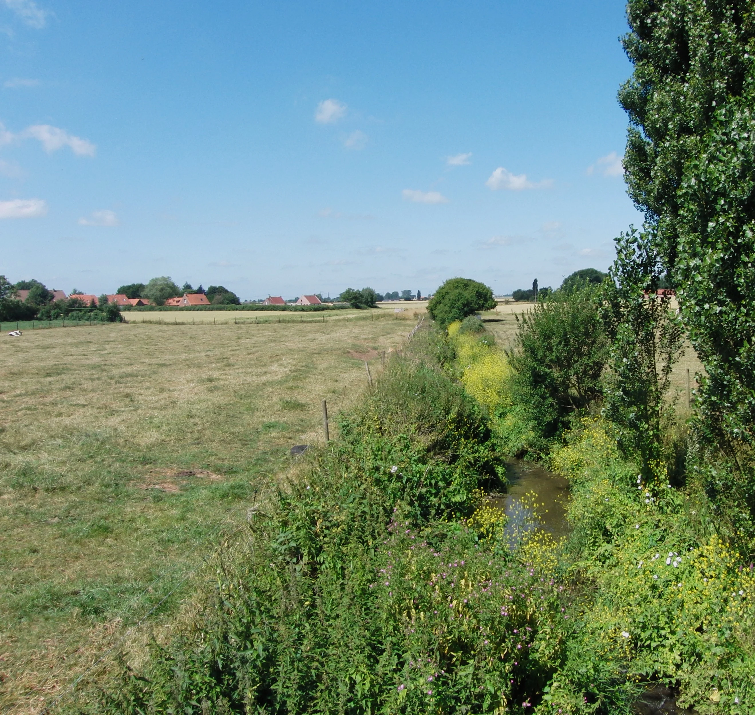A wide, sunny landscape view of a green meadow bordering a narrow, plant-lined water channel; houses are visible in the distant horizon.