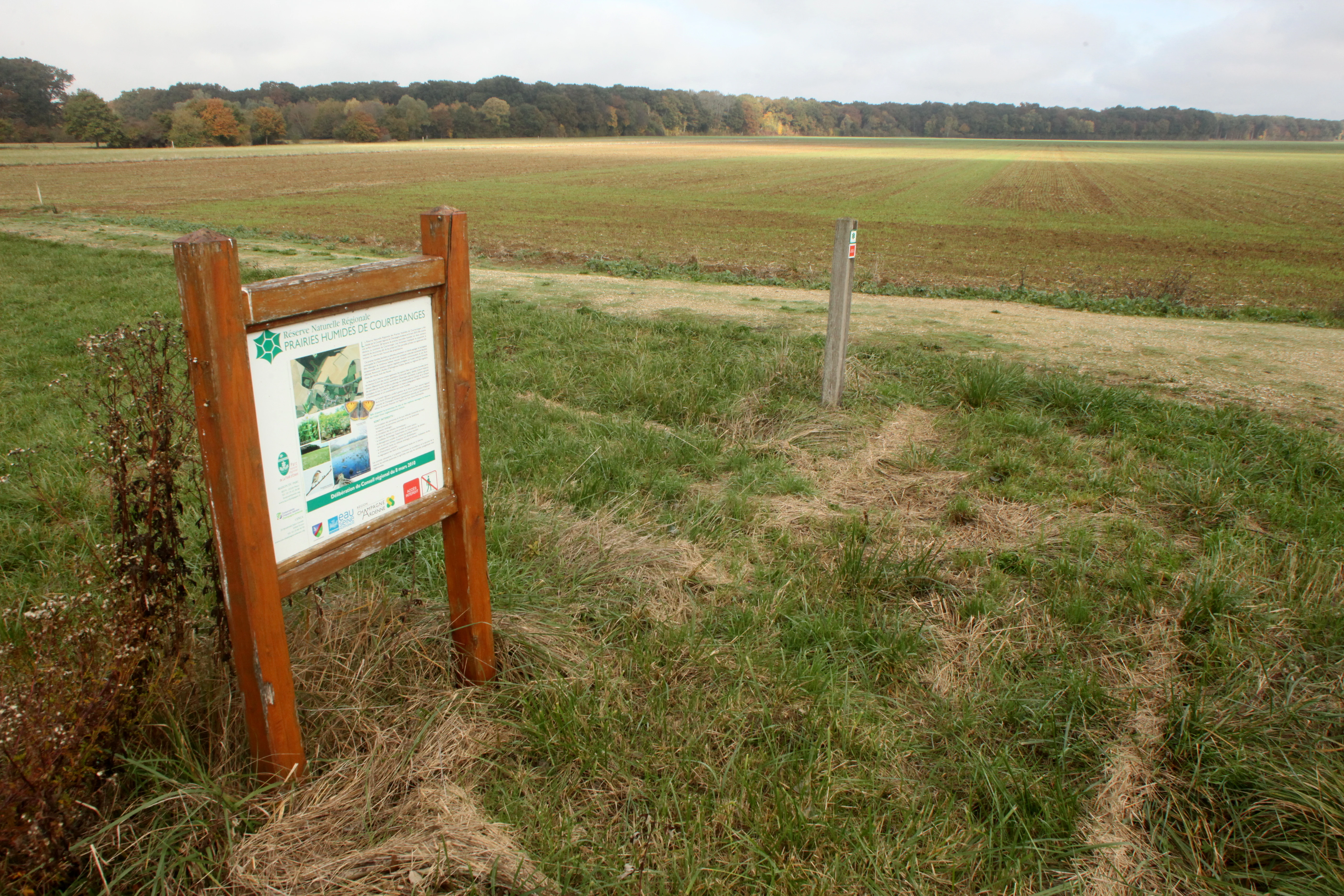 An informational sign on a wooden frame stands in a grassy field with a wide, flat meadow landscape in the background.