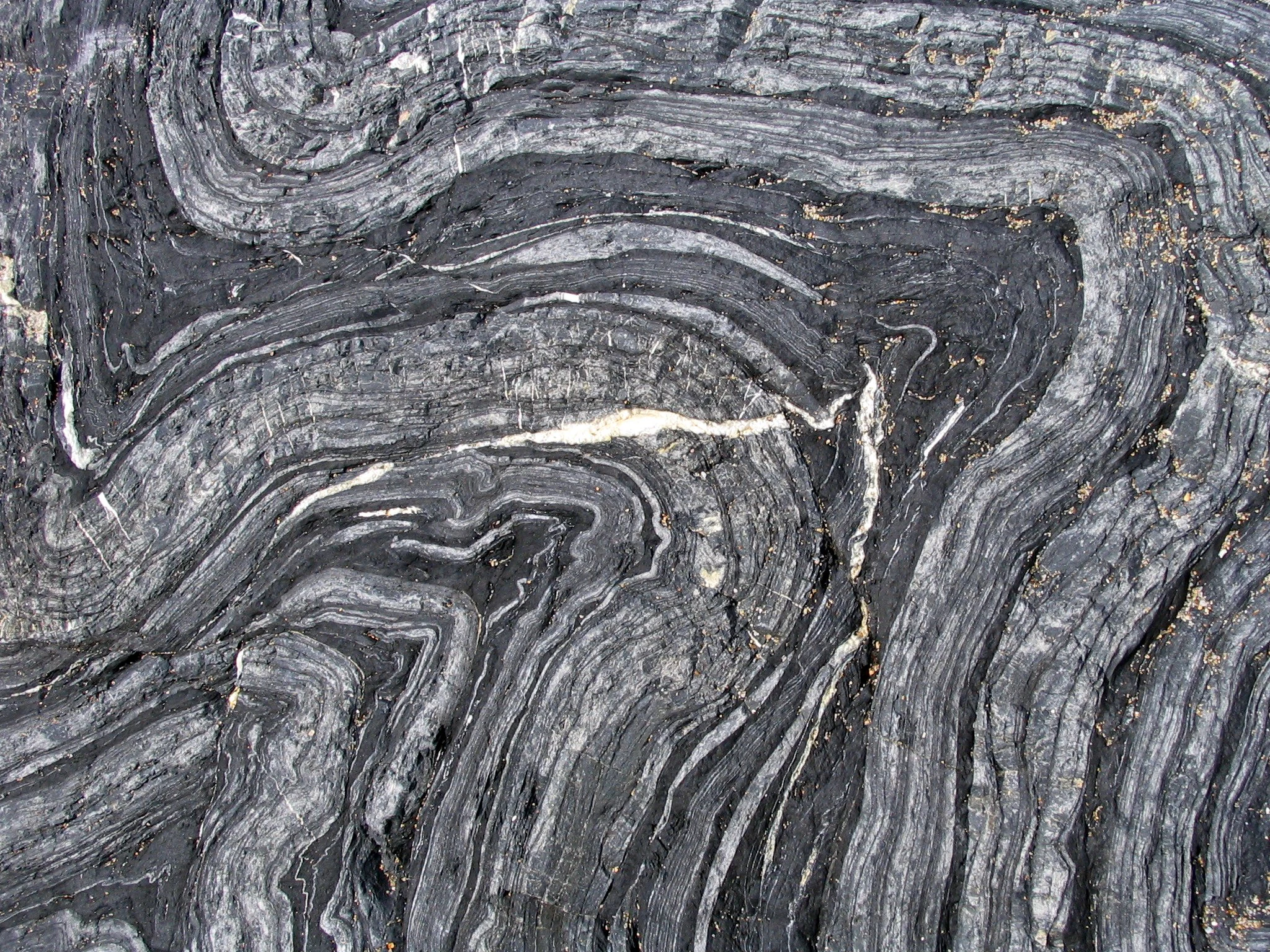 A close-up texture shot of grey and black layered schist rock showing tight, wavy, and concentric geological folds.