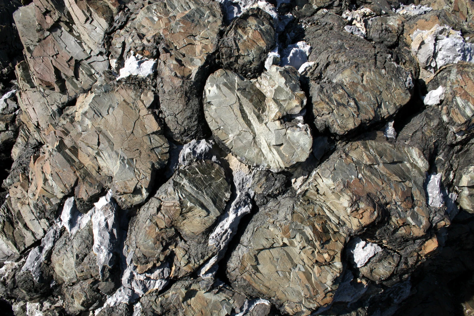 A close up view of dark, rounded volcanic rock formations known as pillow lava, characterized by interlocking bulbous shapes and mineral veins.