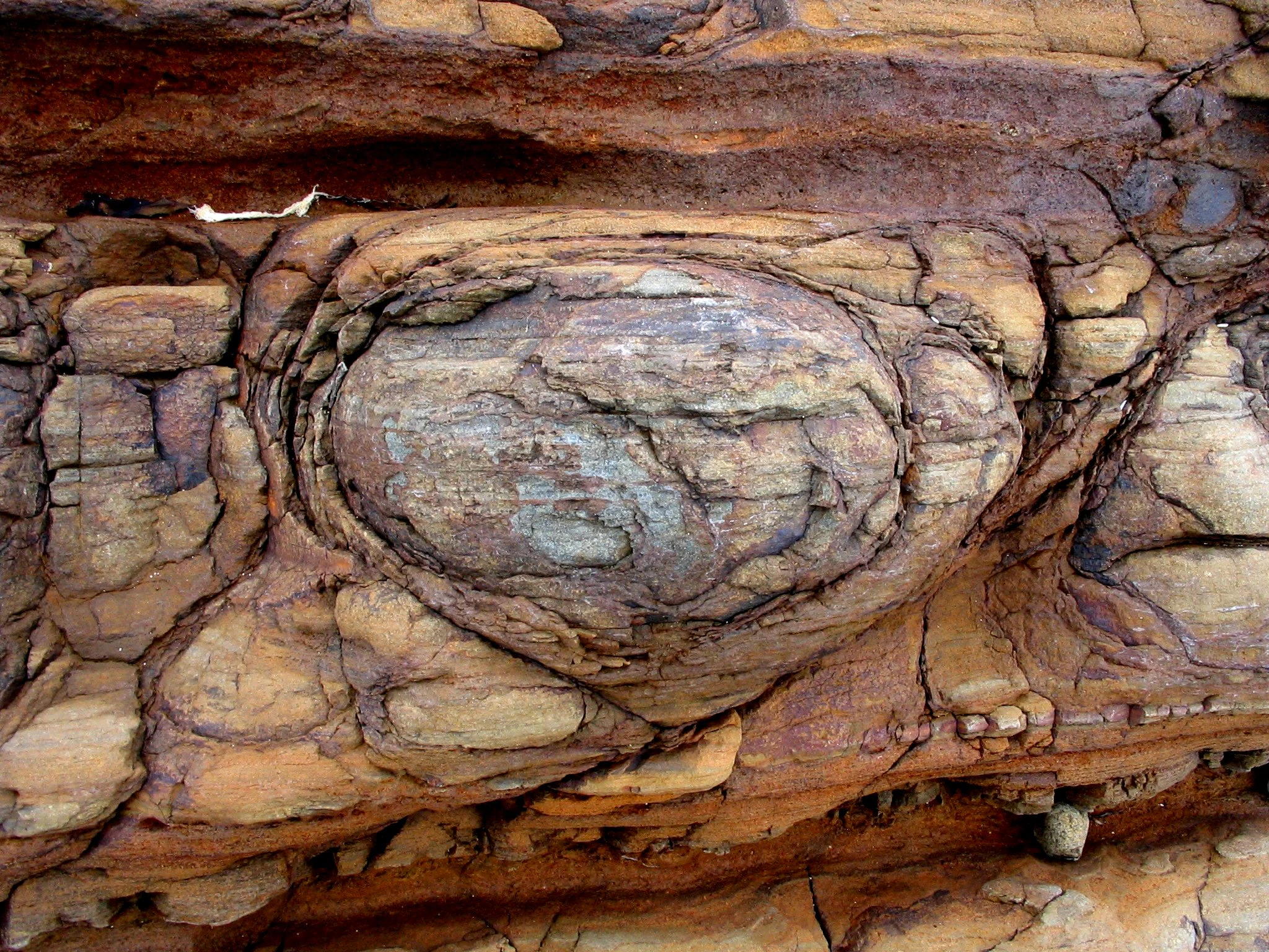Close-up of a weathered, rounded rock formation embedded within stratified, reddish-brown sedimentary layers.