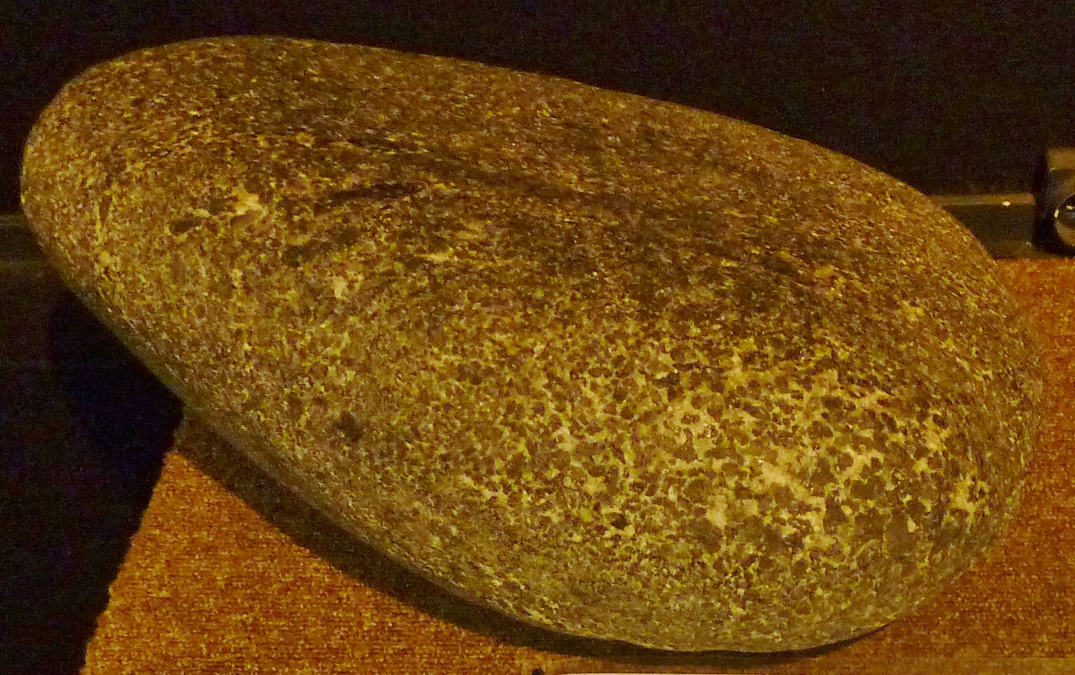 A close-up photograph of a rounded rock specimen on a textured brown surface against a dark background, showing a mottled, coarse-grained texture characteristic of volcanic breccia.