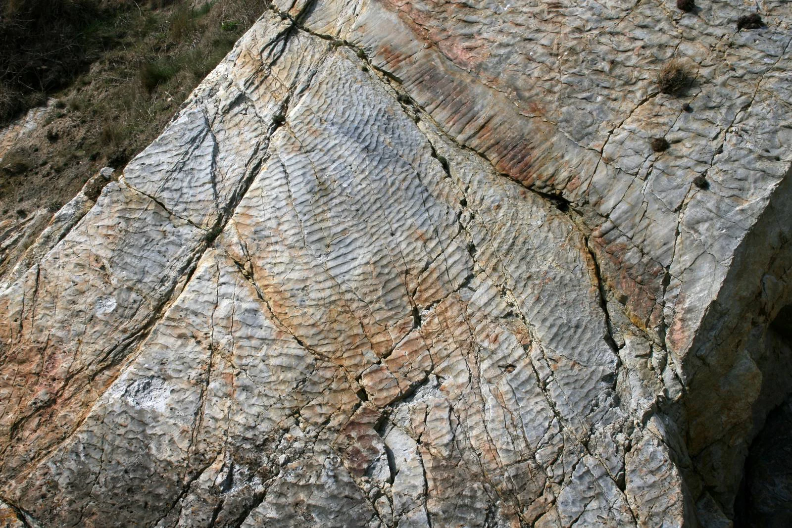 A close-up, high-angle view of a grey and tan rock surface showing distinct, parallel wave-like patterns known as fossilized ripple marks, crossed by several deep fractures.