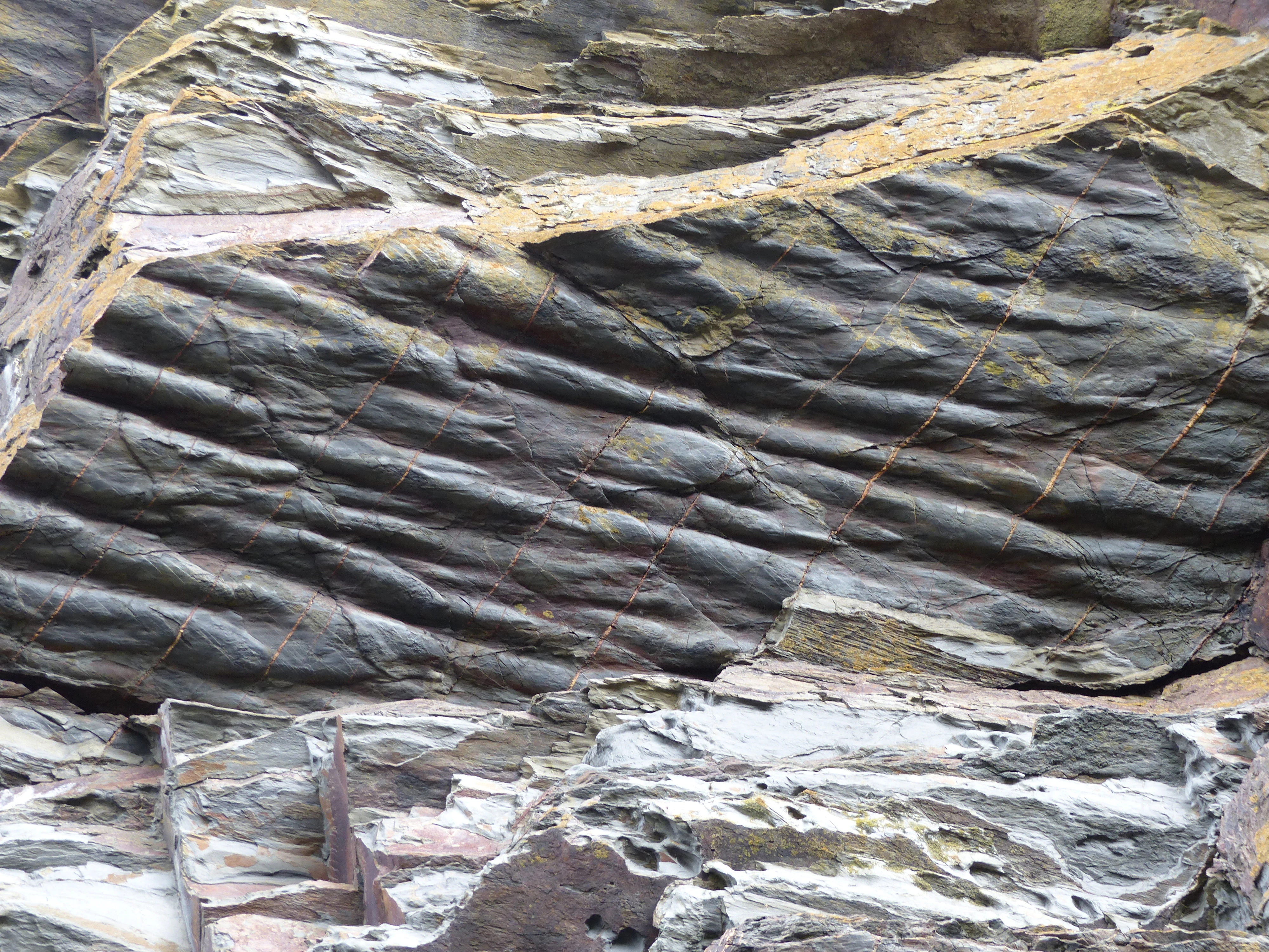 A close-up view of a dark, layered rock face showing elongated, ripple-like geological formations known as flute casts on a bedding plane.