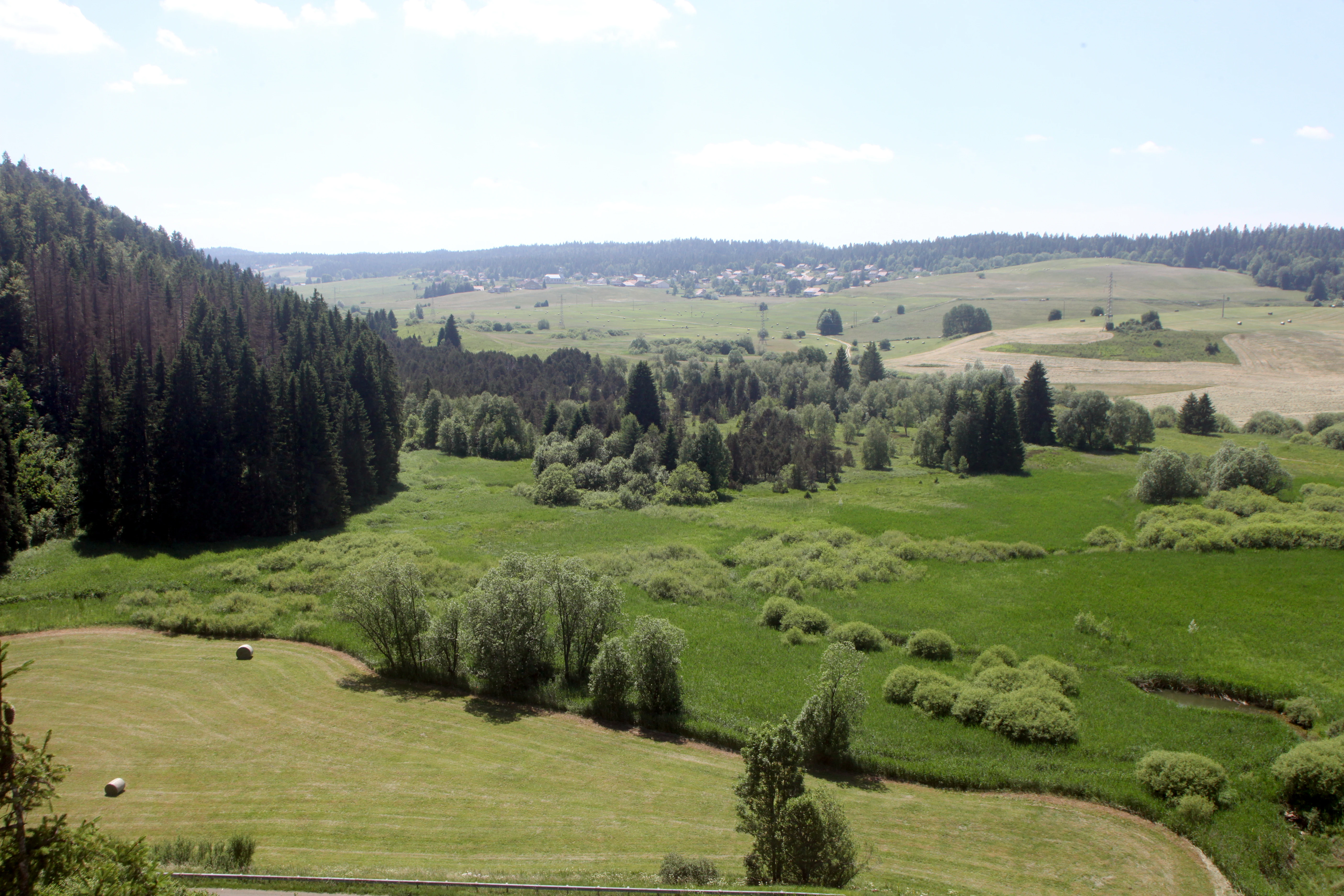 A wide, high-angle landscape shot showing a green valley with a mix of wetlands, scattered trees, dense conifer forest, and open meadowland under a clear sky.