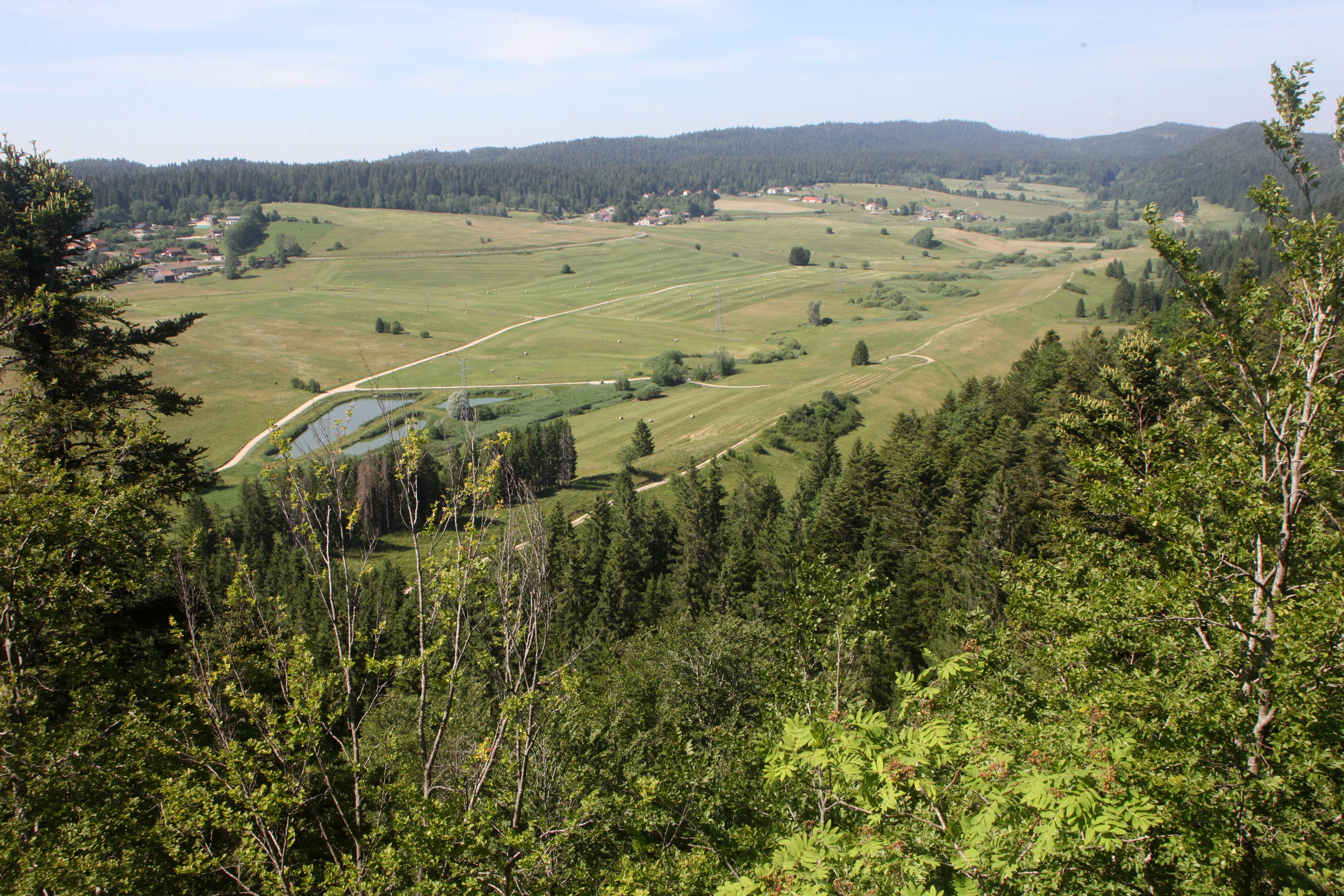 A high-angle scenic view of a valley filled with grasslands, patches of forest, and a small water body in the Jura mountains.