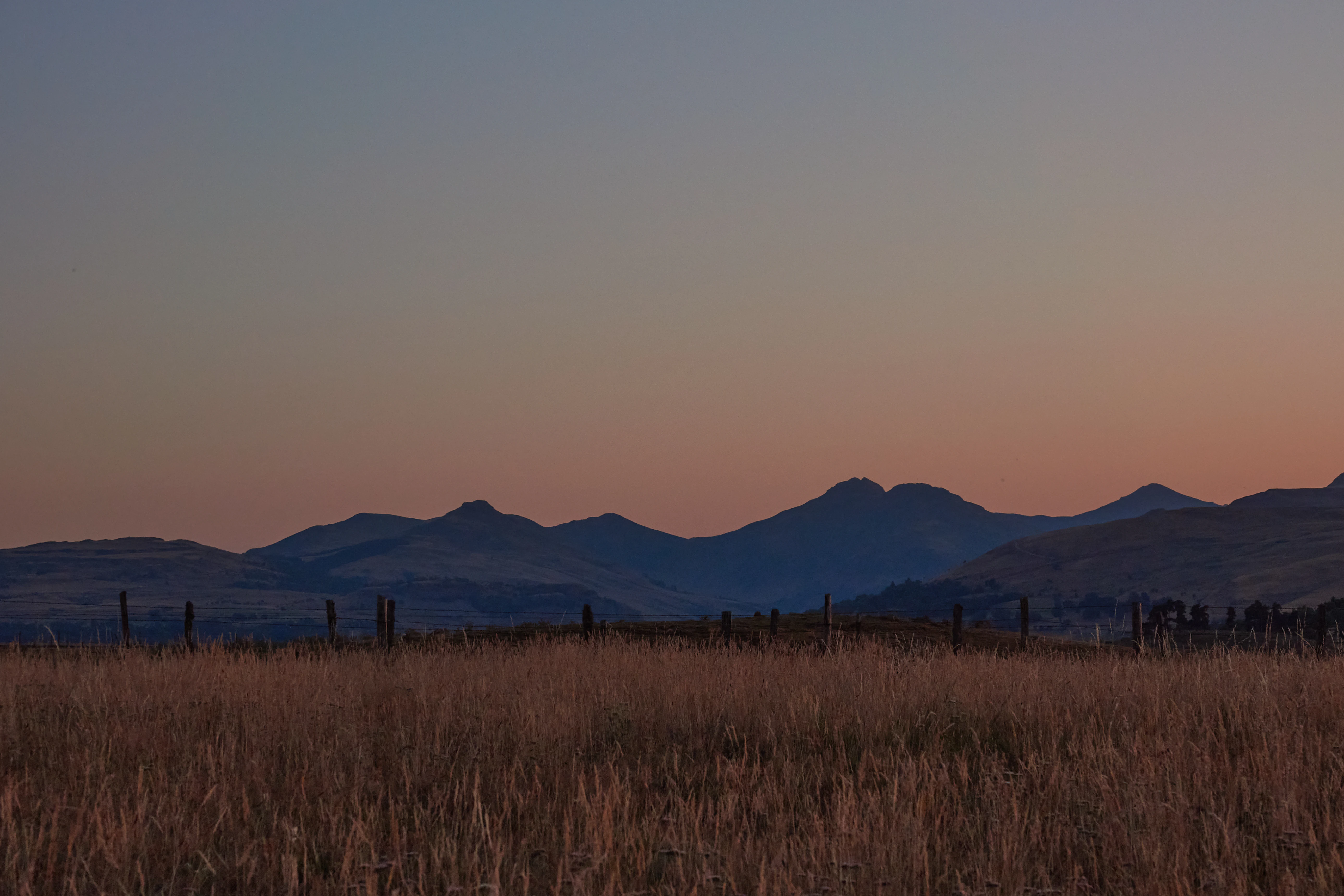 A landscape view of silhouettes of the Cantal Mountains against a soft sunset sky, with a foreground of tall, dry grass in the nature reserve.