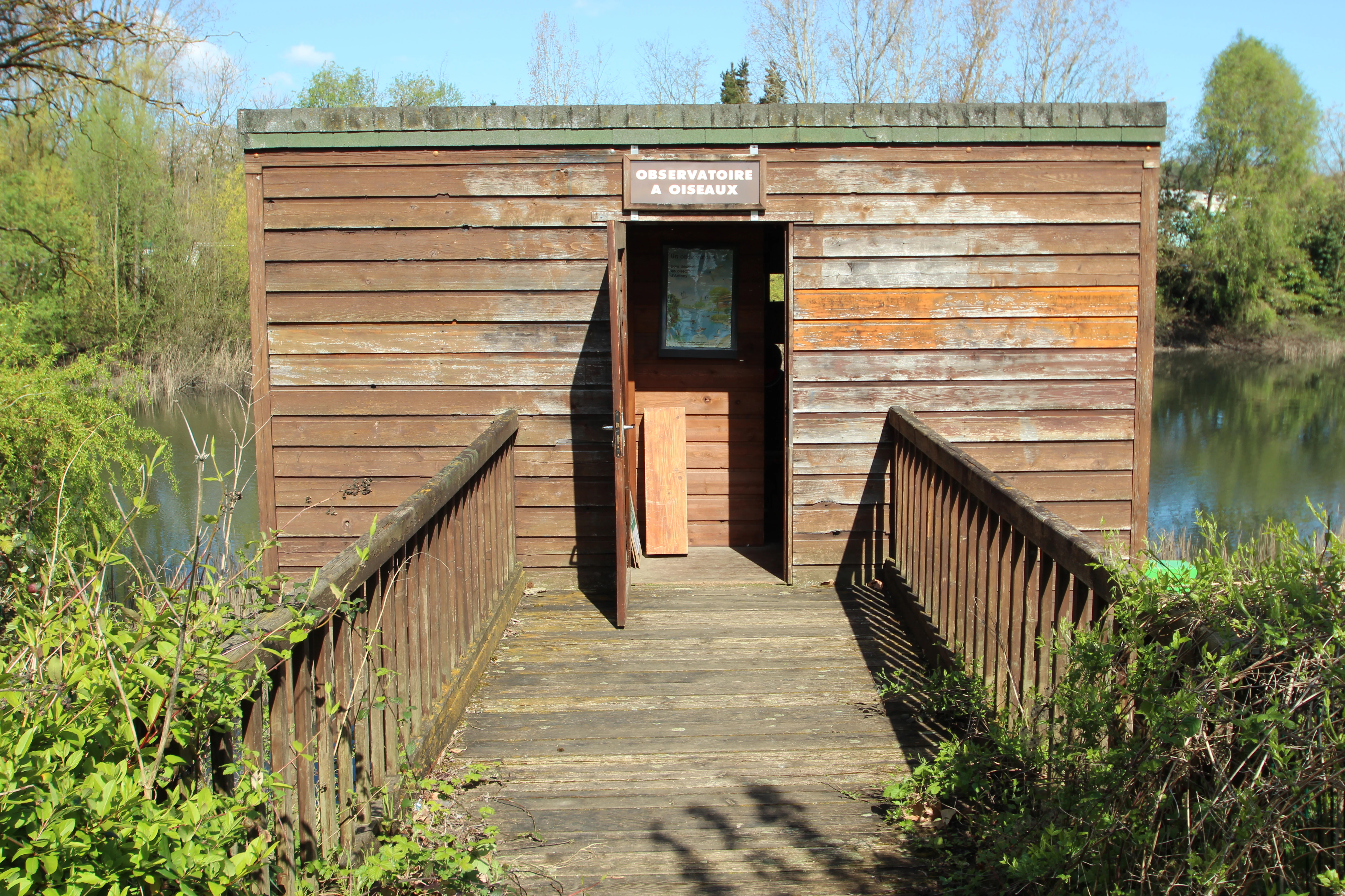 A wooden birdwatching cabin with a small ramp leading up to its open door, situated in a wetland area.