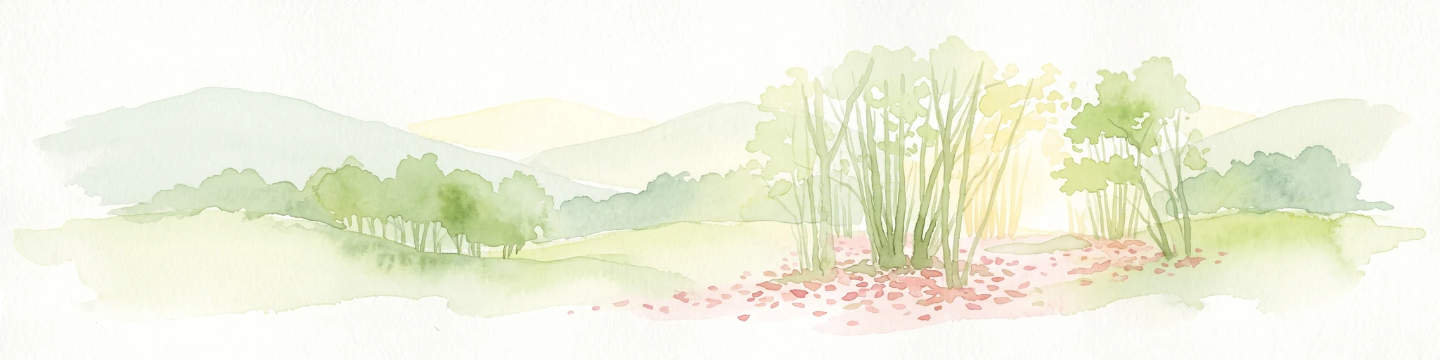 A soft watercolor illustration showing a landscape with sparse trees, a sunlit clearing, and rolling hills in the background, set against a plain white background.