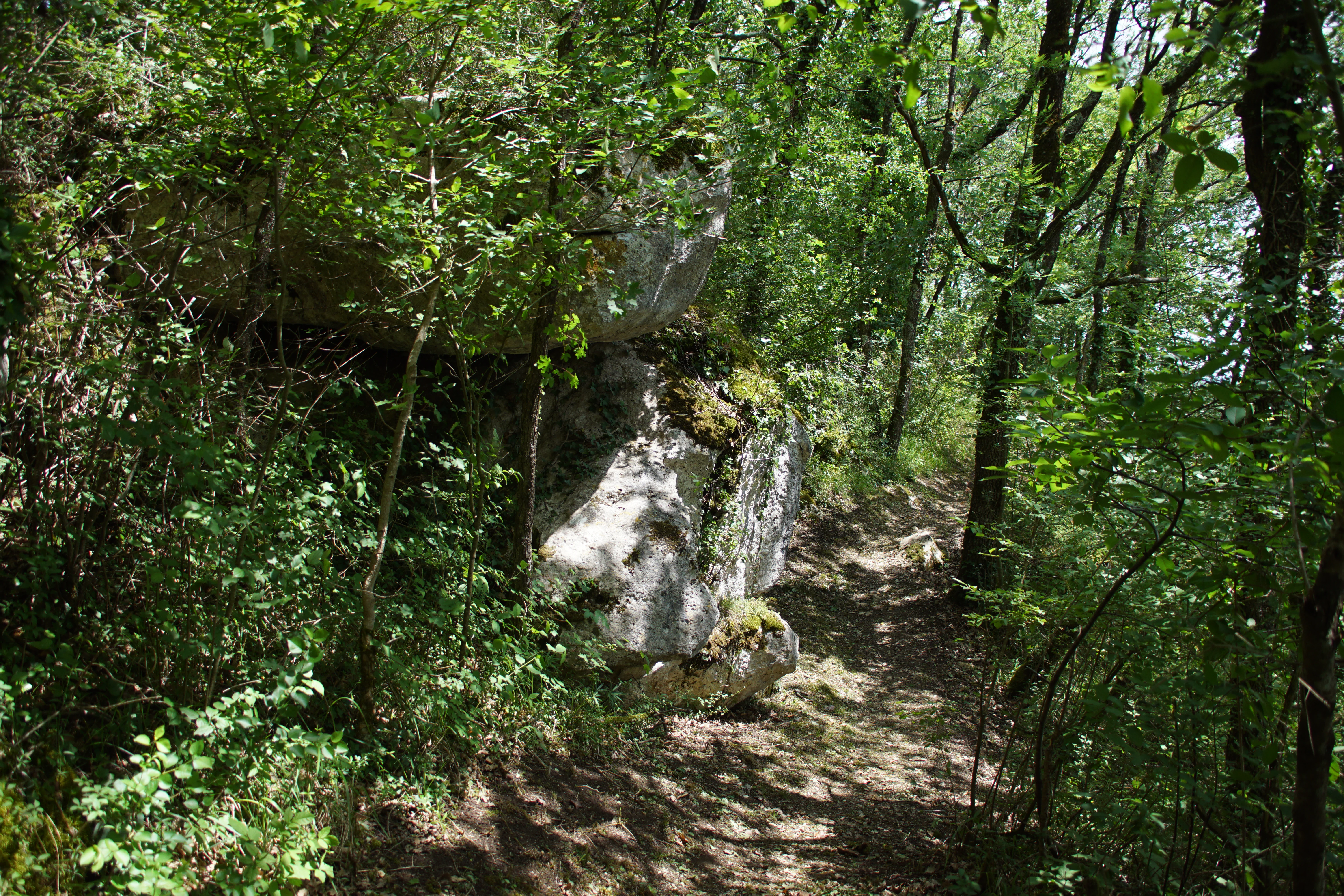 A narrow dirt trail leads through a dense deciduous forest, passing a large moss-covered limestone rock formation on the left.