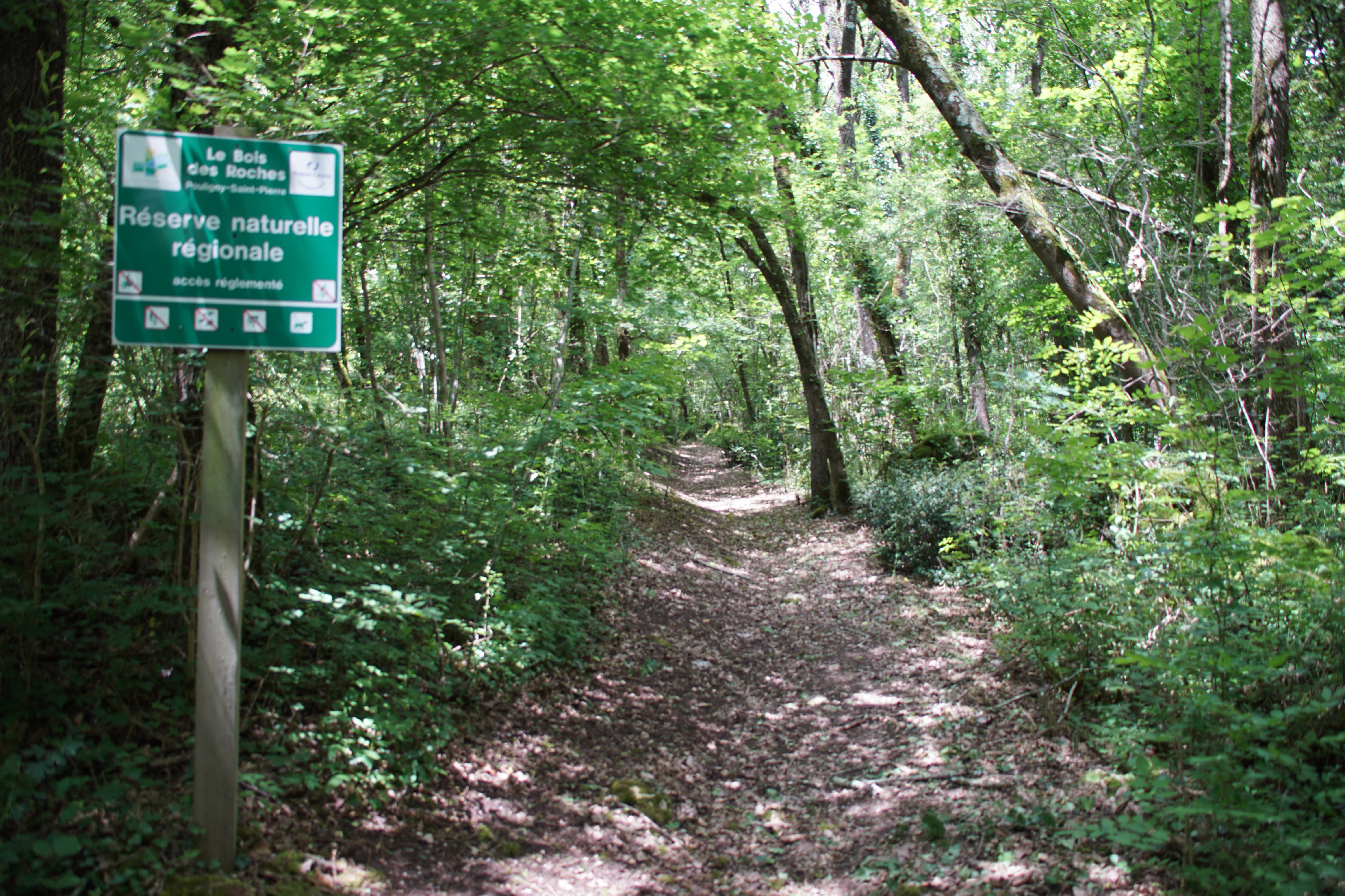 A green and white information sign for the Réserve naturelle régionale du Bois des Roches on a wooden post beside a dirt trail in a forest.