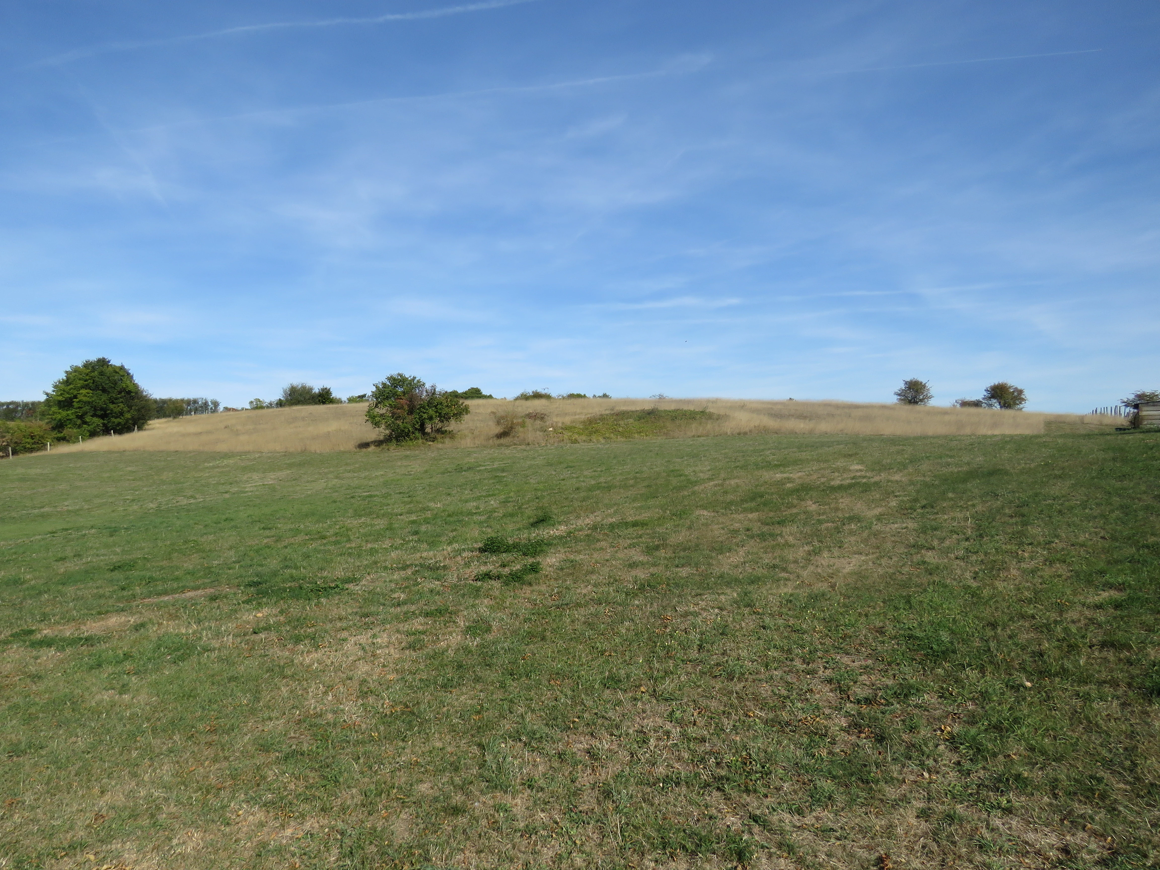 A wide, open landscape showing grassy meadows and plateaus under a clear blue sky, with a few scattered trees in the distance.