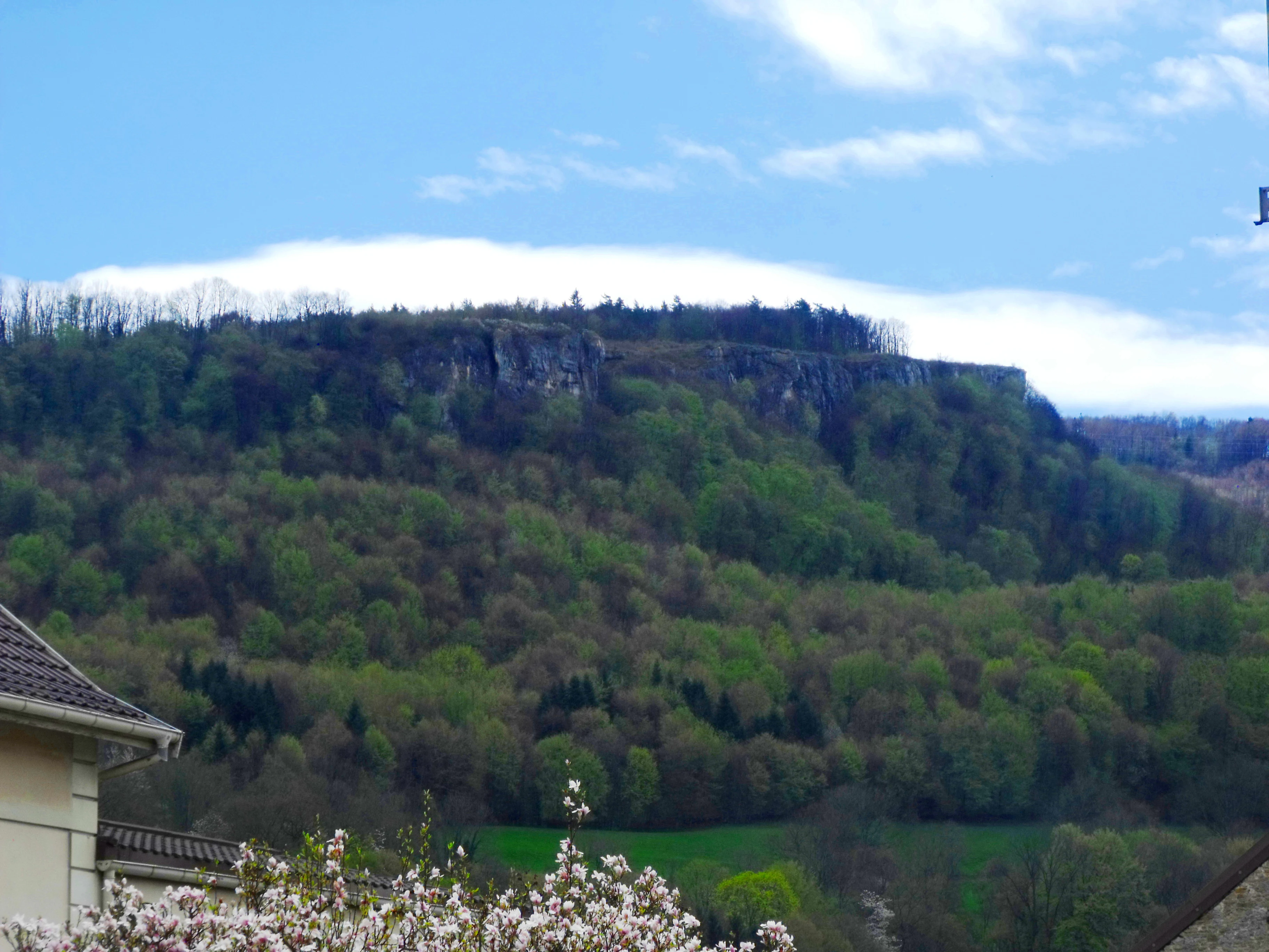 A distant view of a forested limestone cliff ridge known as Crêt des Roches, seen above rolling green hills under a blue sky with light clouds.