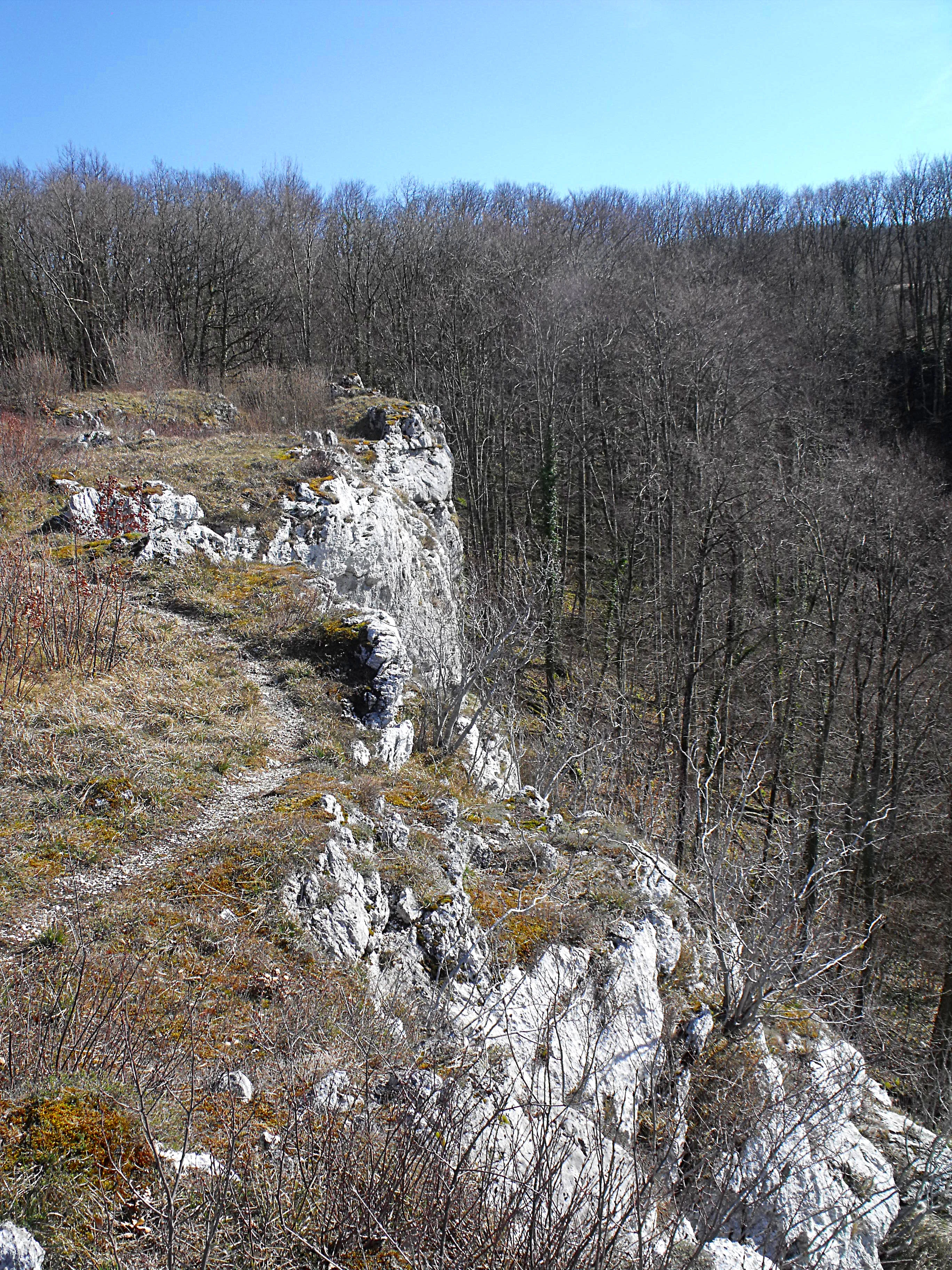 A view of rugged limestone cliffs dropping off into a forest canopy, with a narrow dirt path running along the edge.