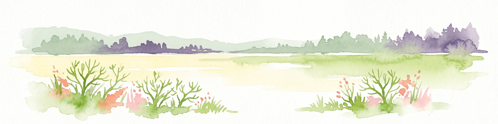 Una ilustración en acuarela de un paisaje de reserva natural con arbustos y hierbas en primer plano y una línea de árboles al fondo, sobre un fondo blanco liso.
