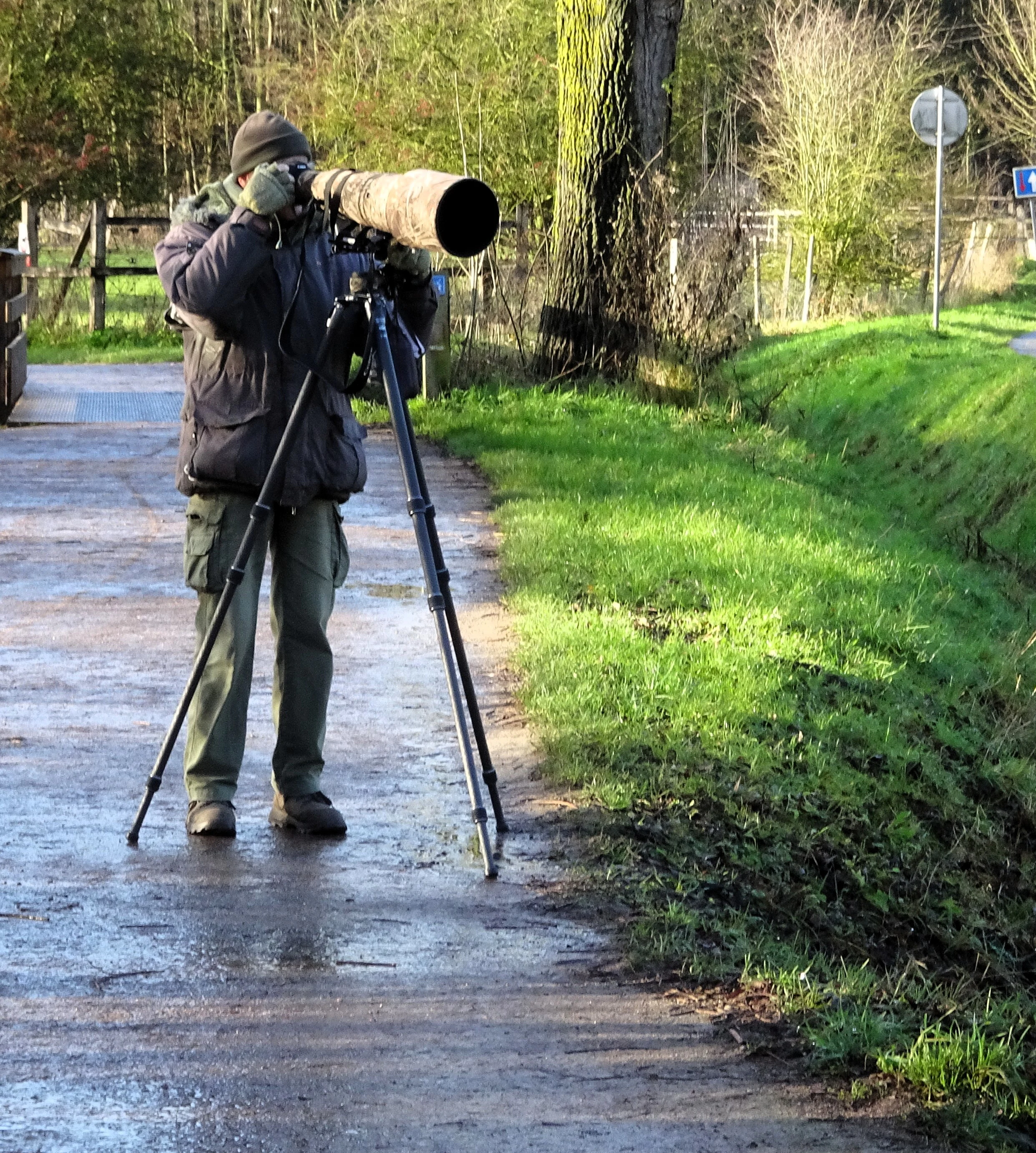 A photographer wearing a winter jacket and hat stands on a wet path, aiming a camera with a very long telephoto lens on a tripod toward the foliage.